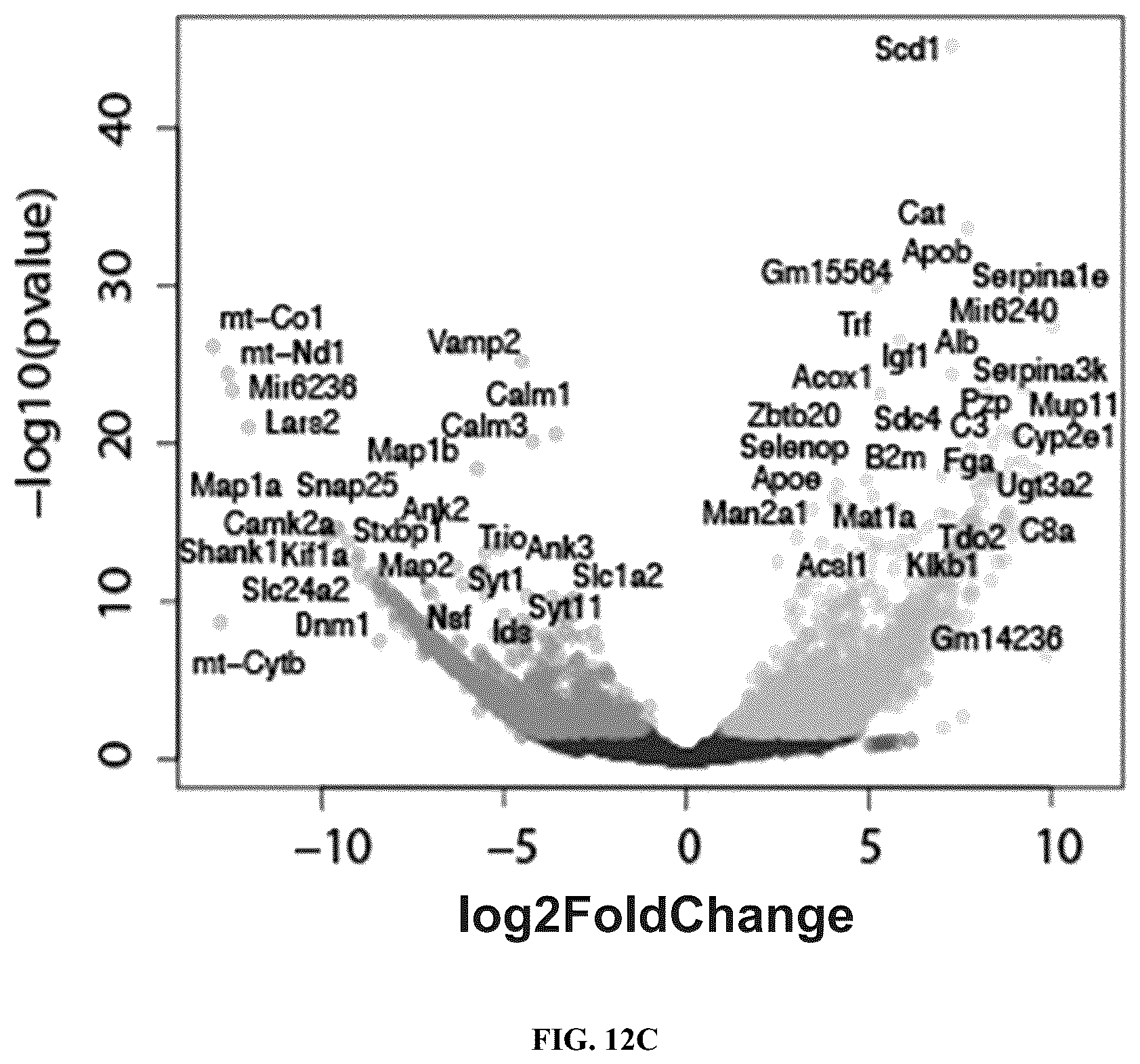 Patent US12460319 Figure 13 – Tissue spatial omics