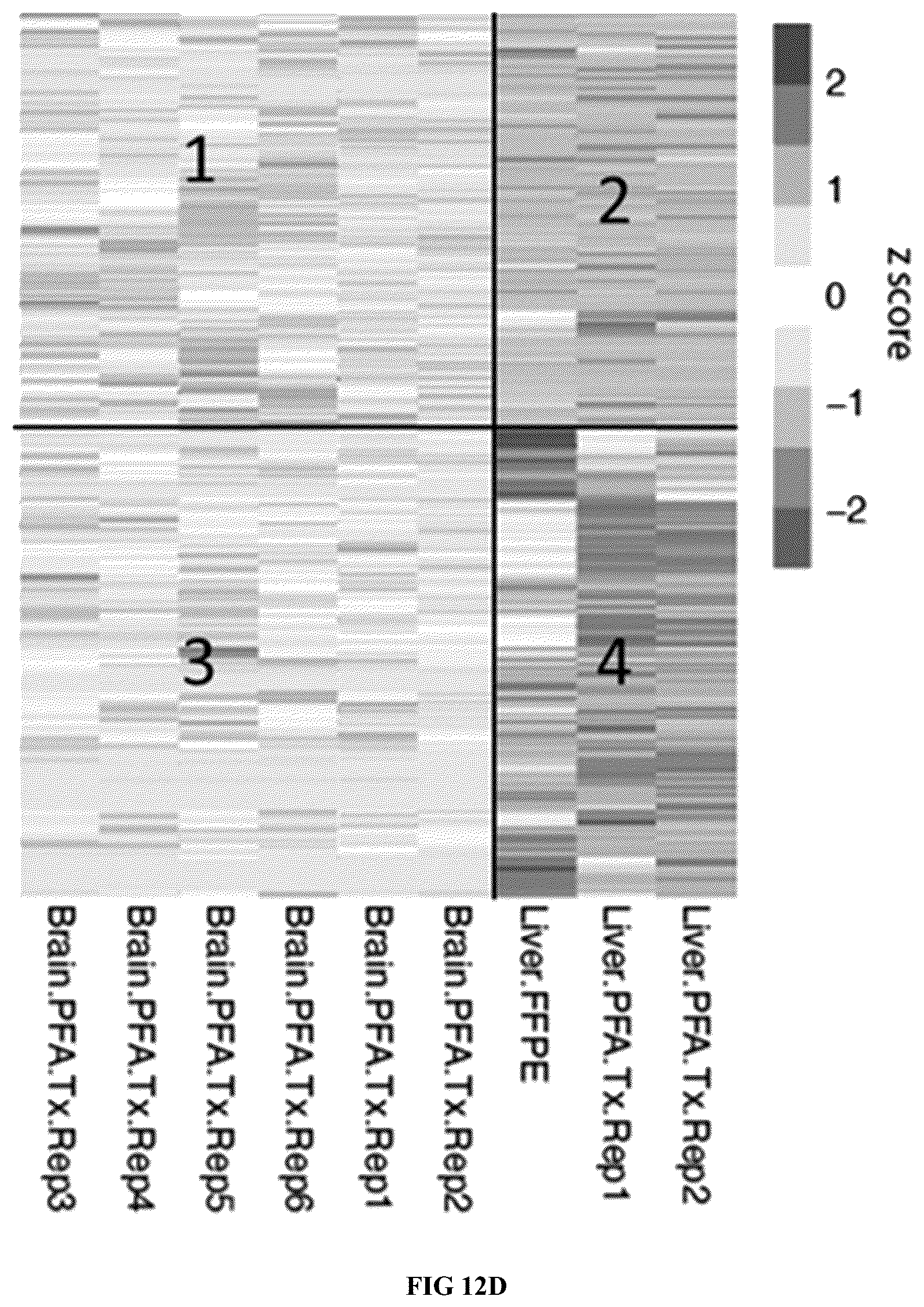 Patent US12460319 Figure 14 – Tissue spatial omics