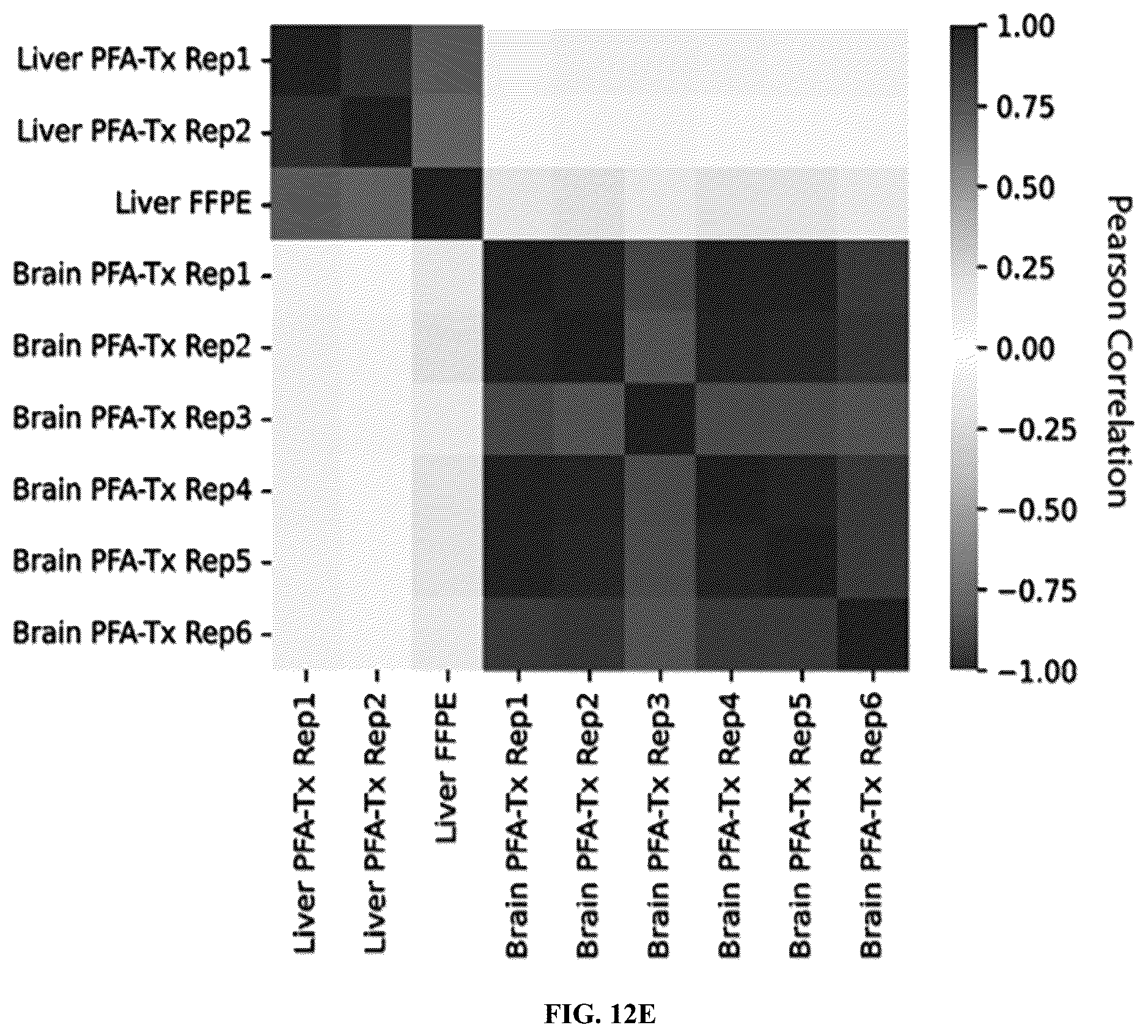 Patent US12460319 Figure 15 – Tissue spatial omics