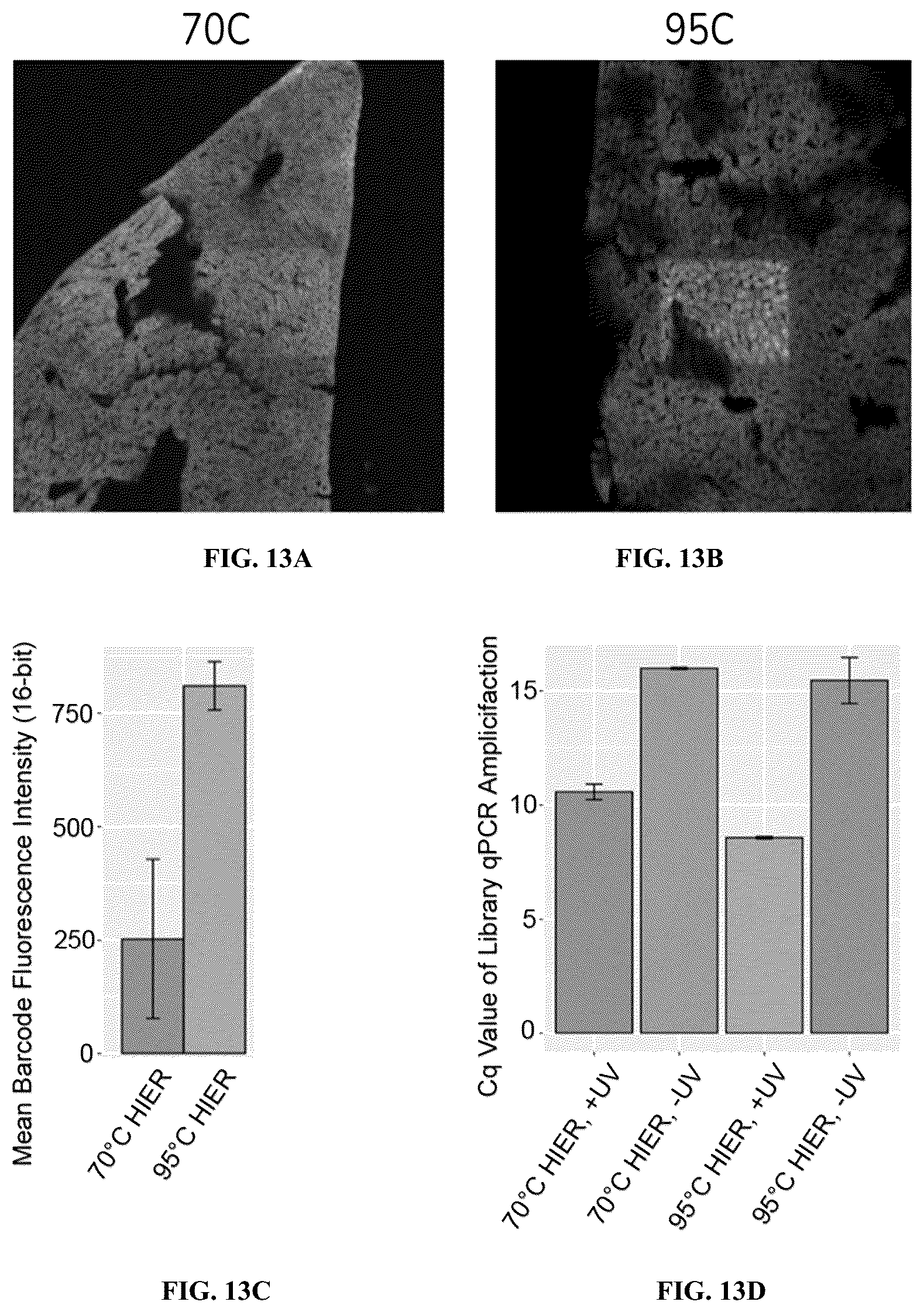 Patent US12460319 Figure 16 – Tissue spatial omics