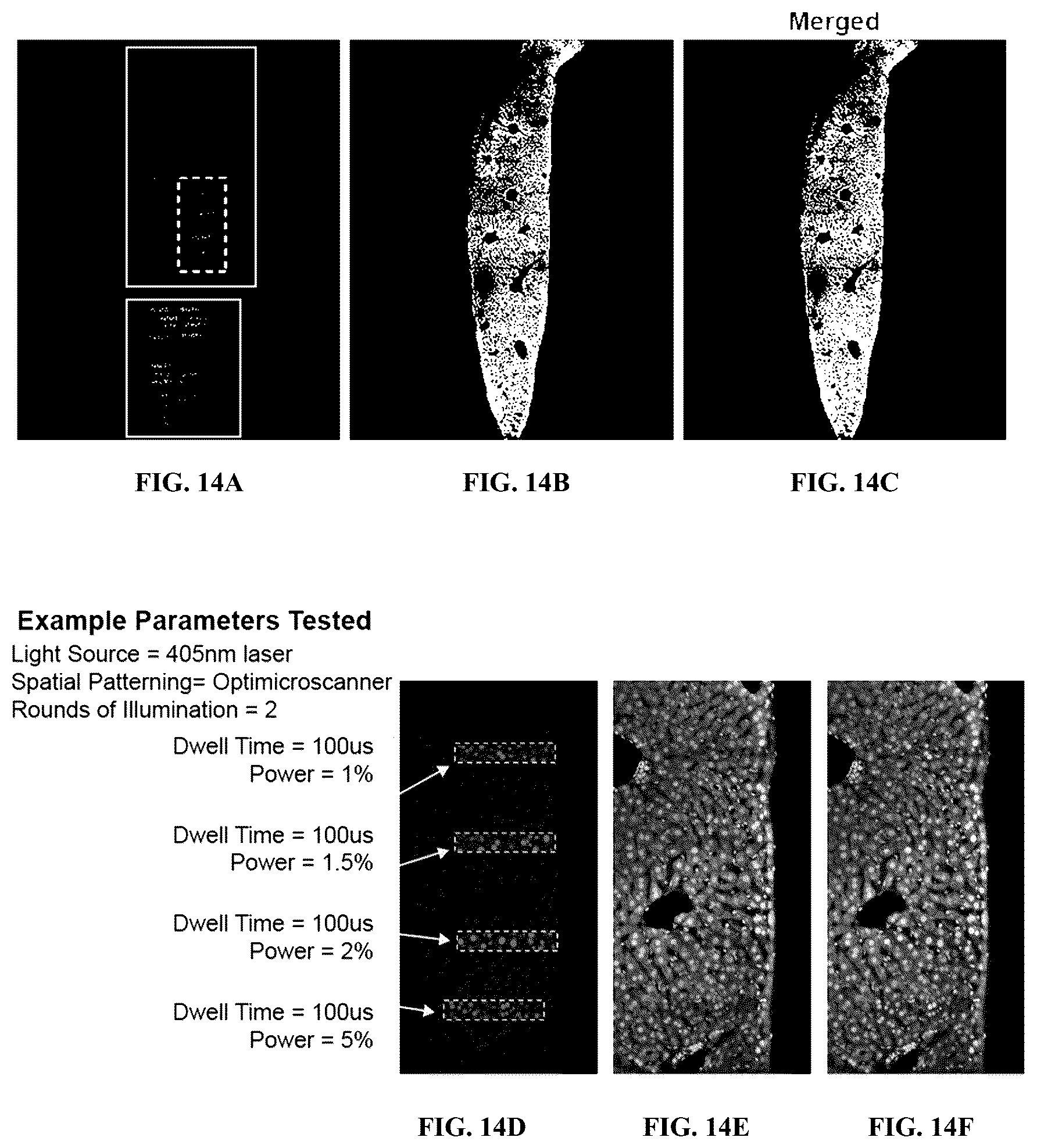 Patent US12460319 Figure 17 – Tissue spatial omics