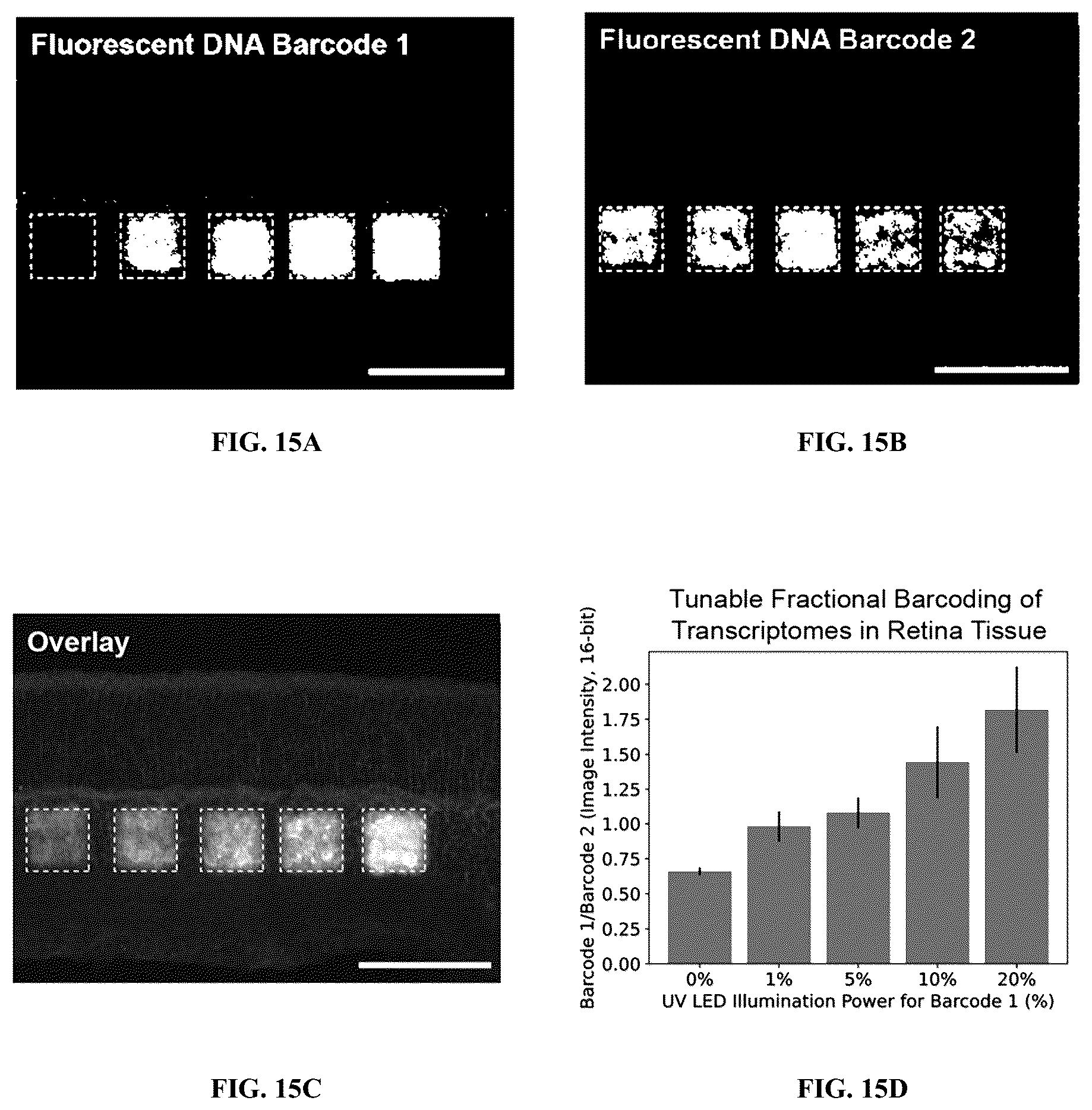Patent US12460319 Figure 18 – Tissue spatial omics