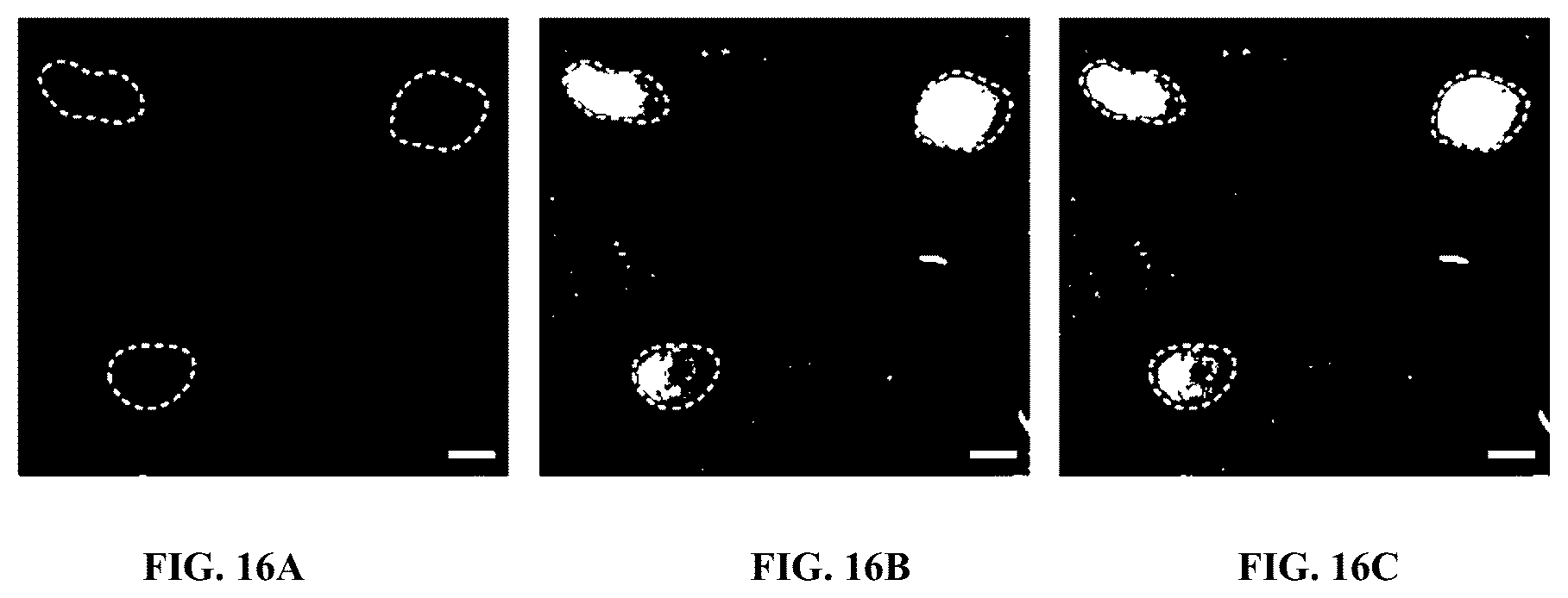 Patent US12460319 Figure 19 – Tissue spatial omics