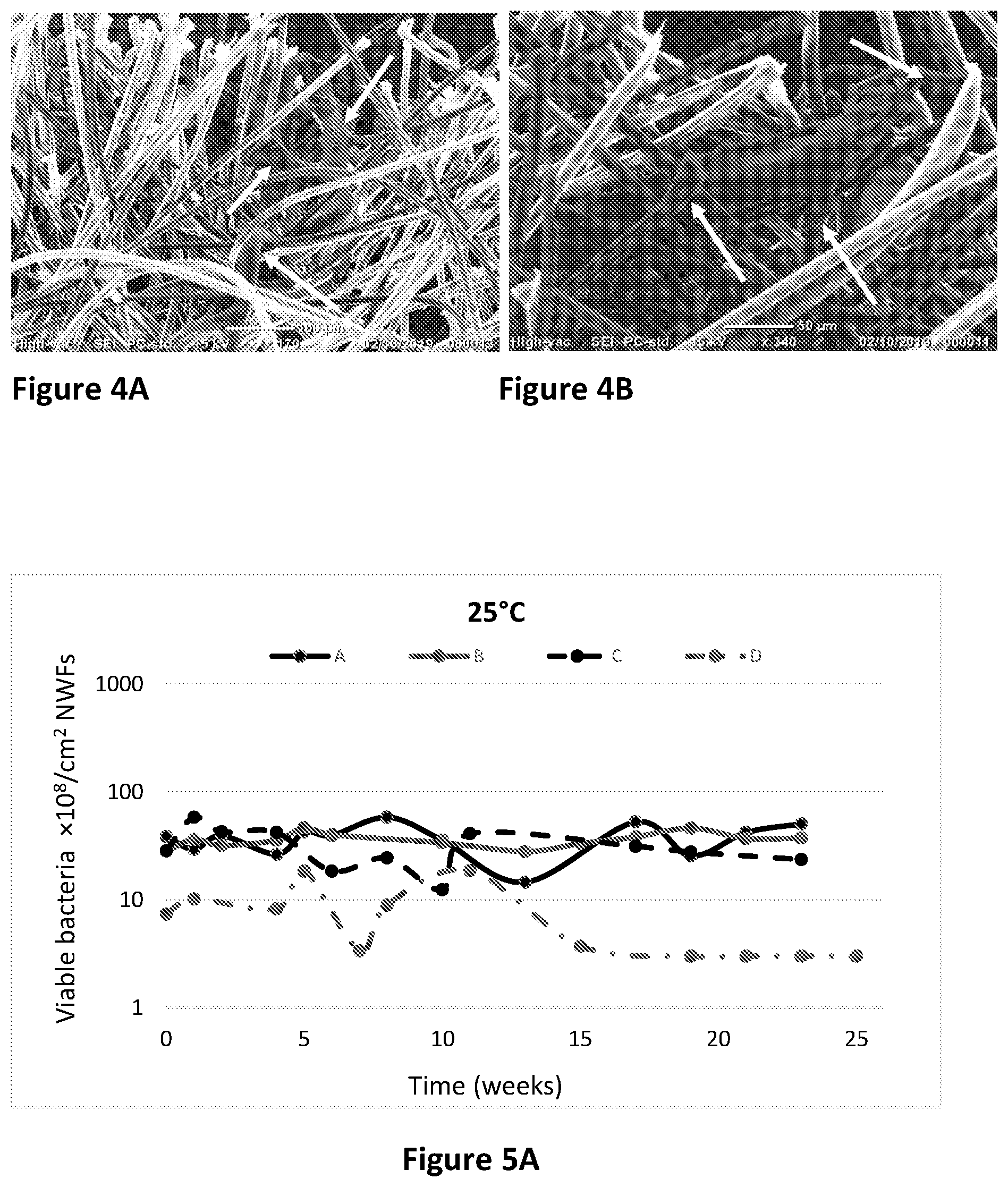 Patent US12460347 Figure 4 – Functional fibrous material comprising microbial flakes, methods of preparing and uses thereof