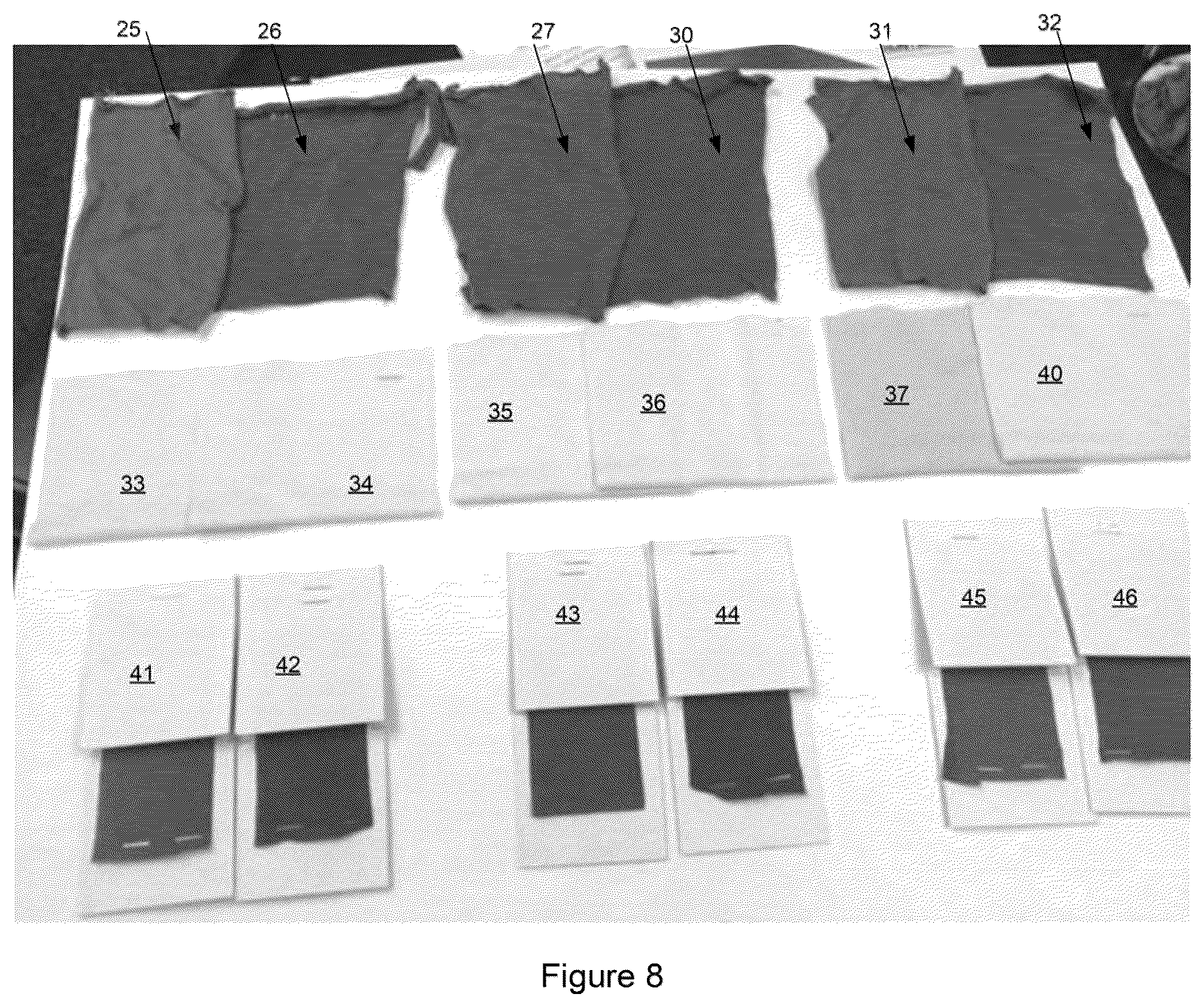 Patent US12460348 Figure 8 – Polyester composition with improved dyeing properties