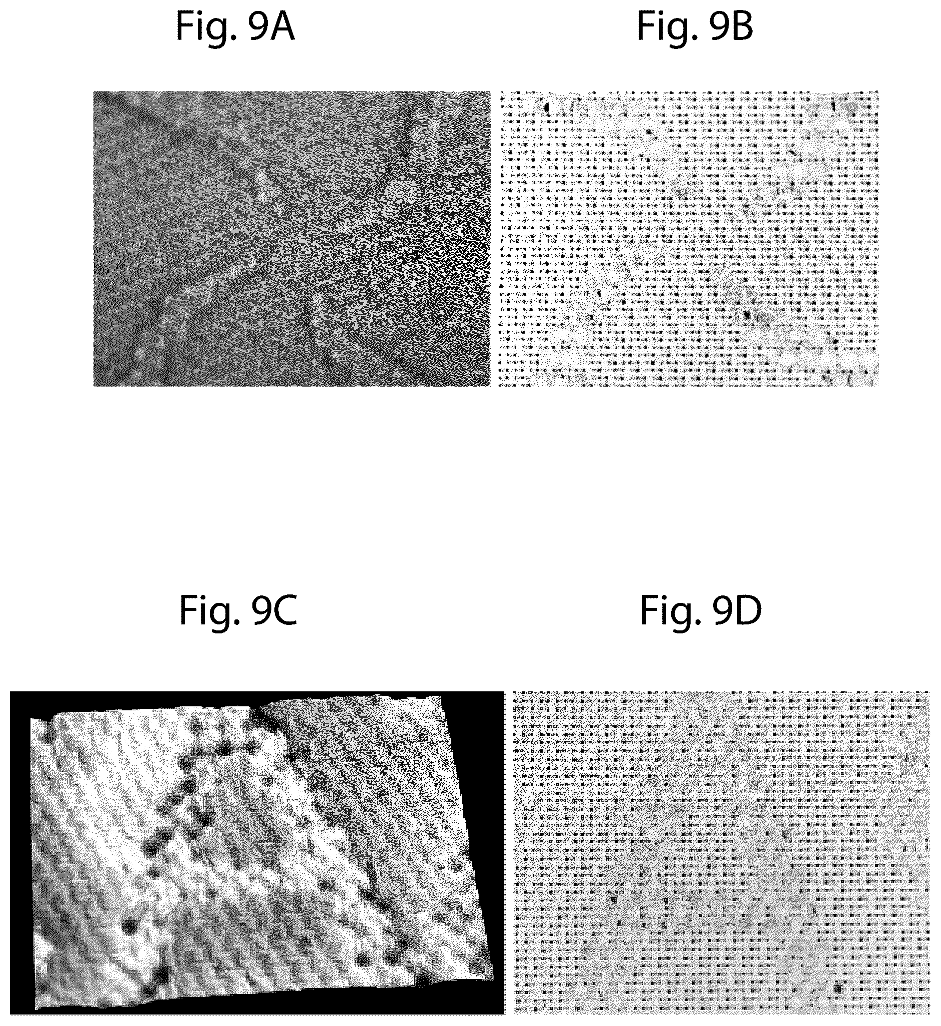 Patent US12460350 Figure 8 – Discretized patterned belt for tissues, towels, and nonwovens