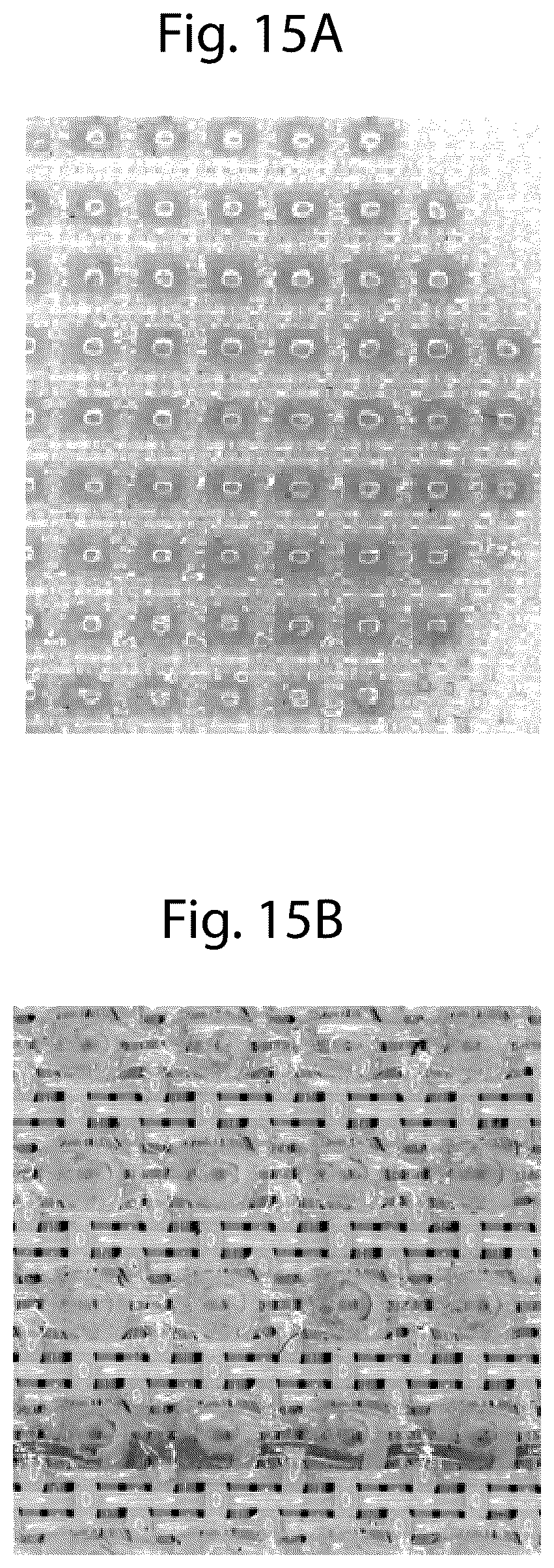 Patent US12460350 Figure 16 – Discretized patterned belt for tissues, towels, and nonwovens