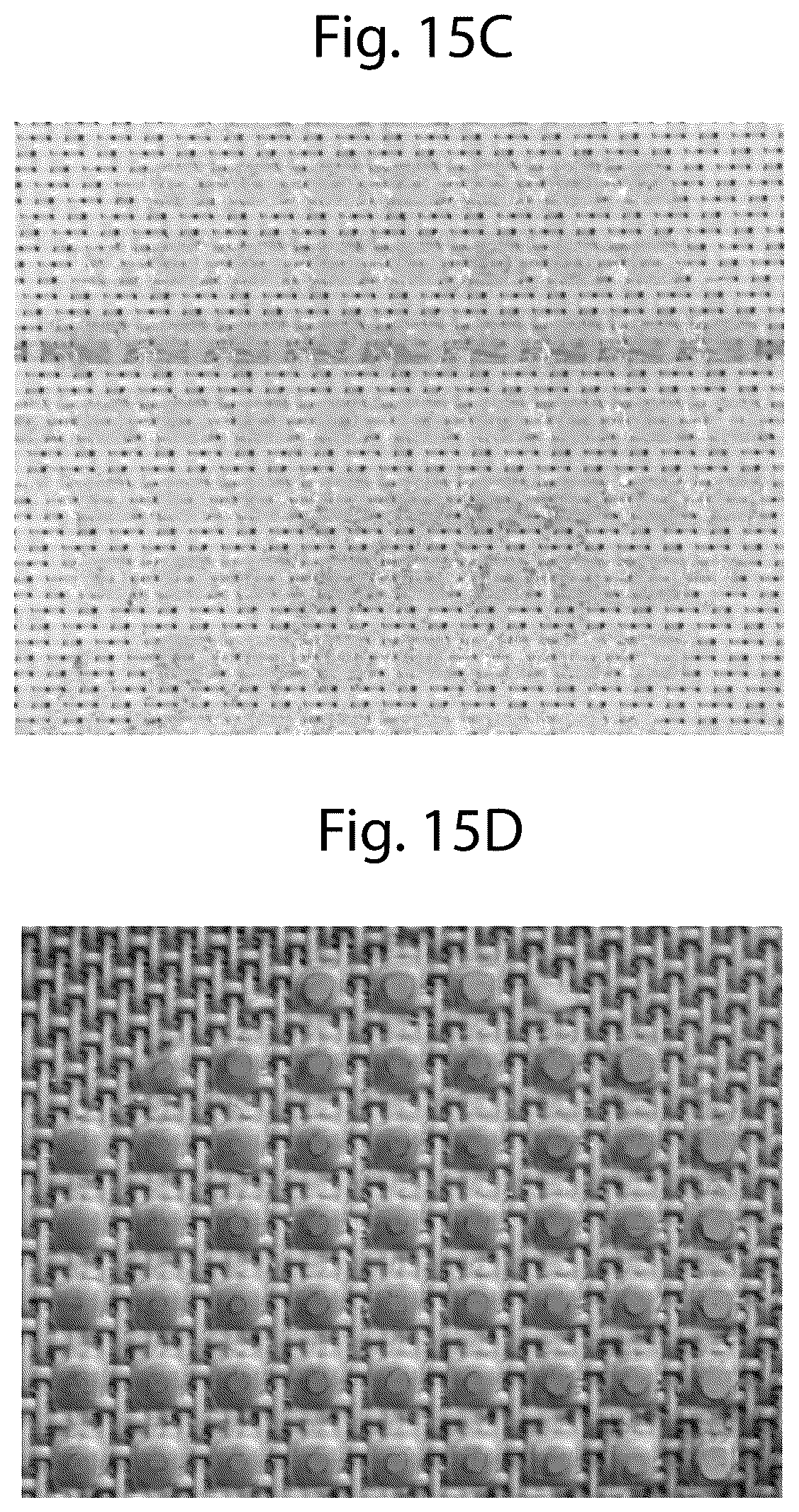 Patent US12460350 Figure 17 – Discretized patterned belt for tissues, towels, and nonwovens