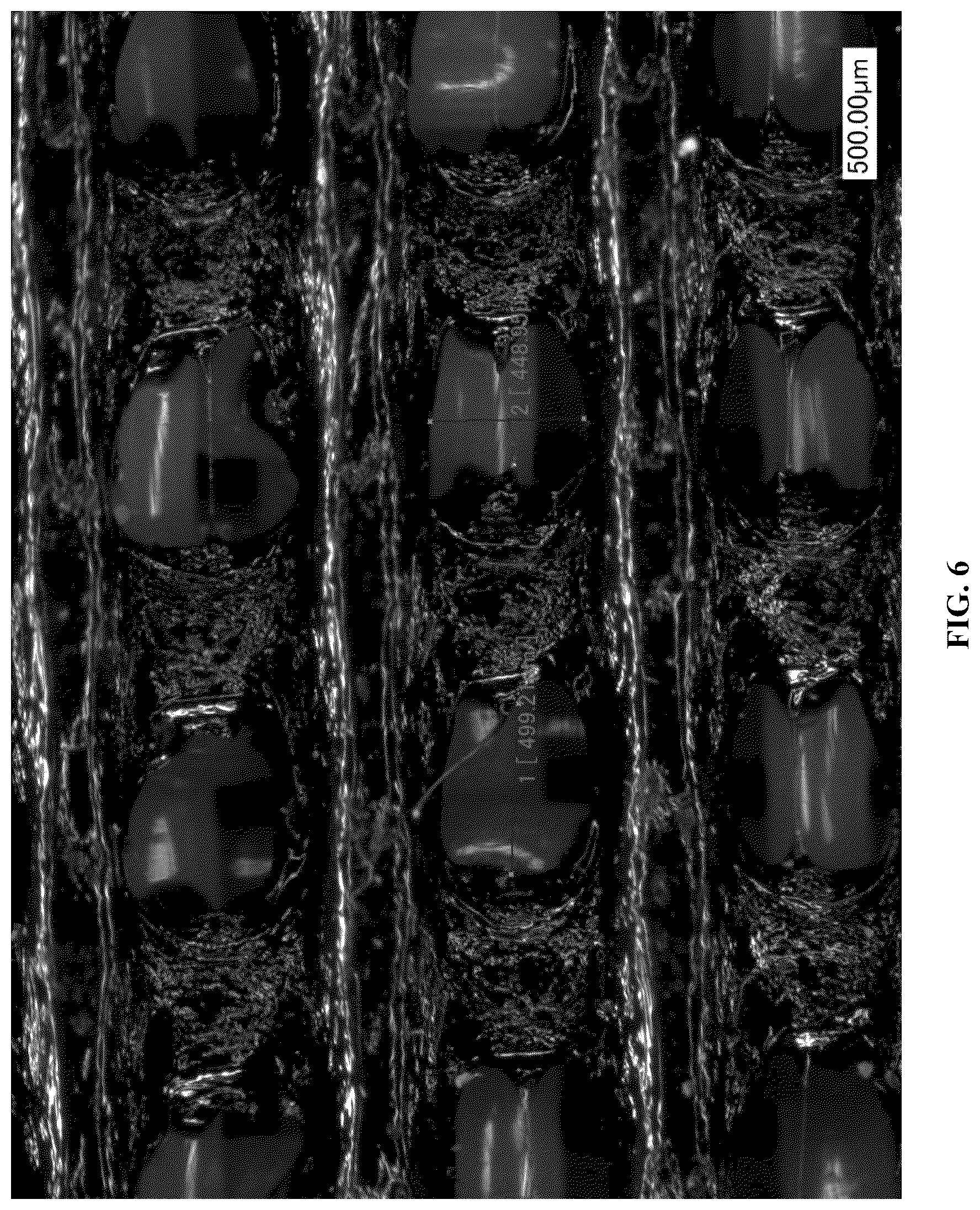 Patent US12460351 Figure 6 – Belt or fabric including polymeric layer for papermaking machine