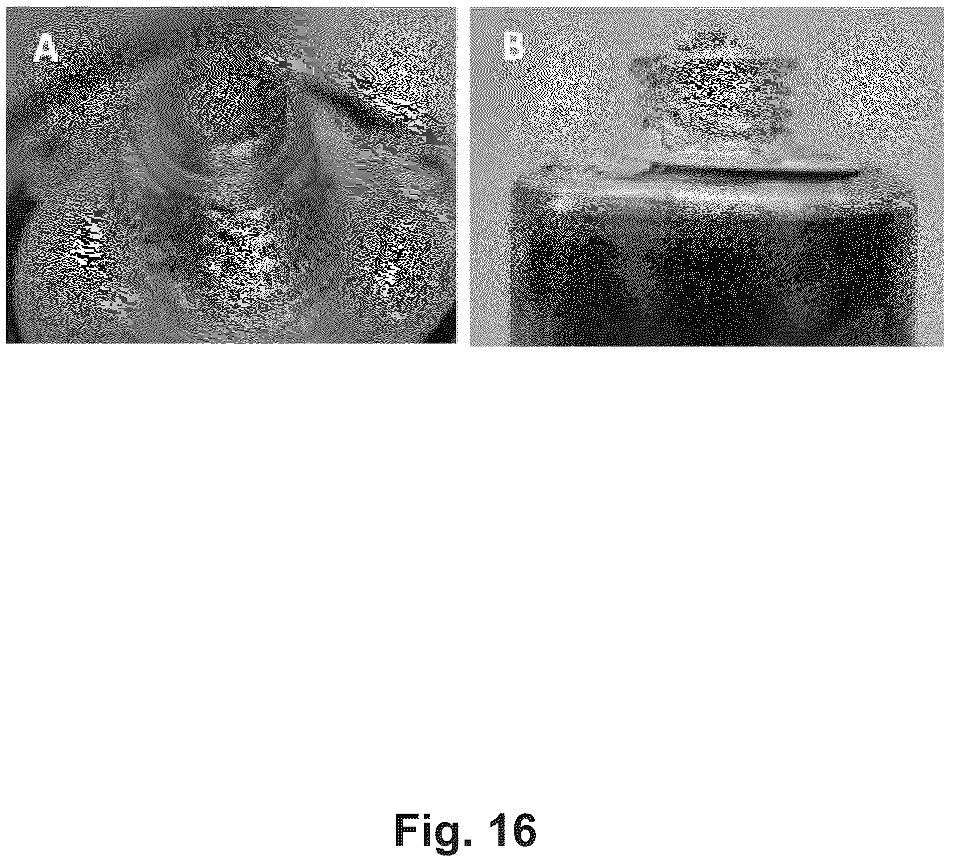 Patent US12460664 Figure 16 – Process for welding dissimilar materials with nested dovetails