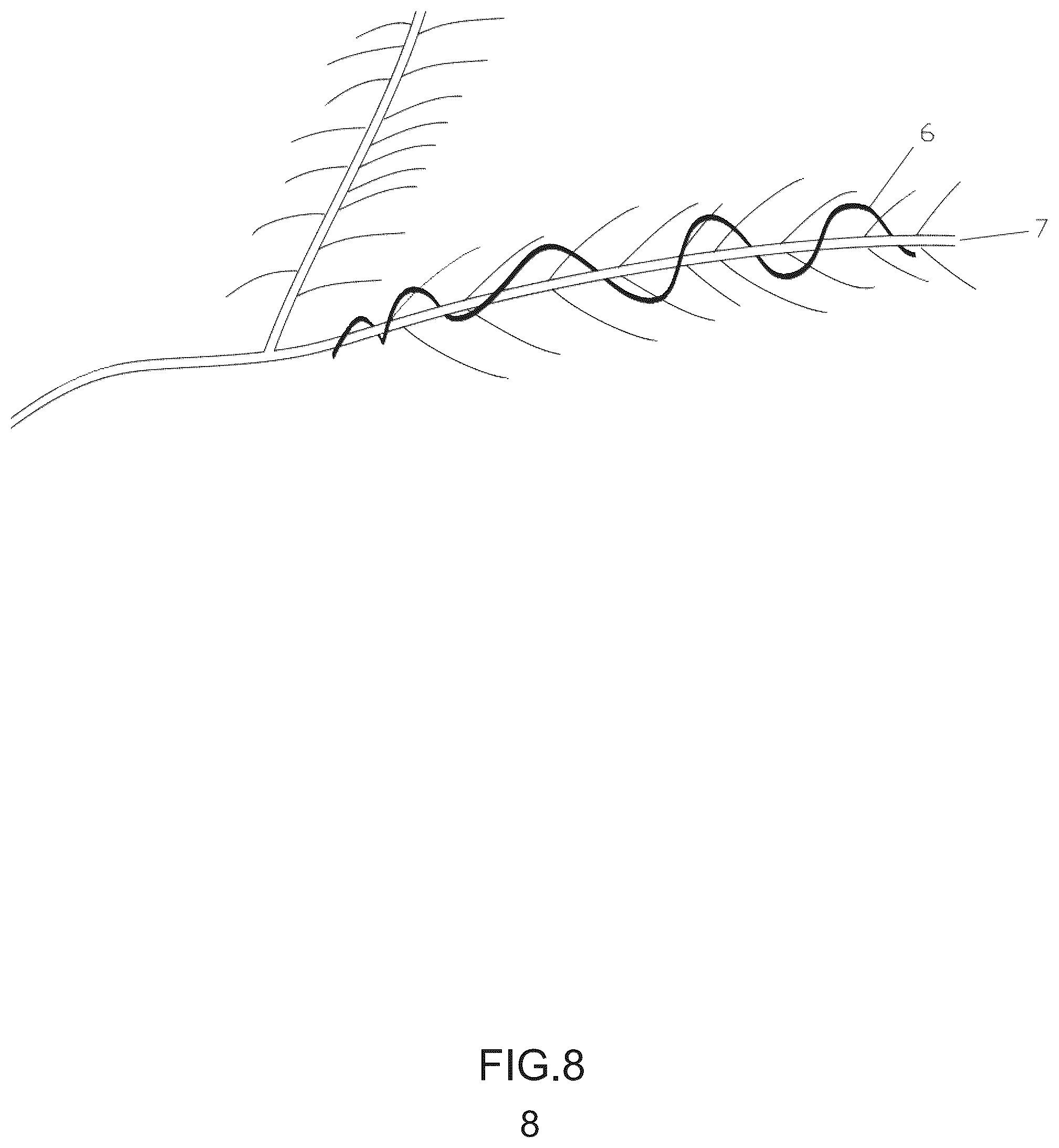 Patent US12460797 Figure 8 – Christmas tree snap-fit lamp body