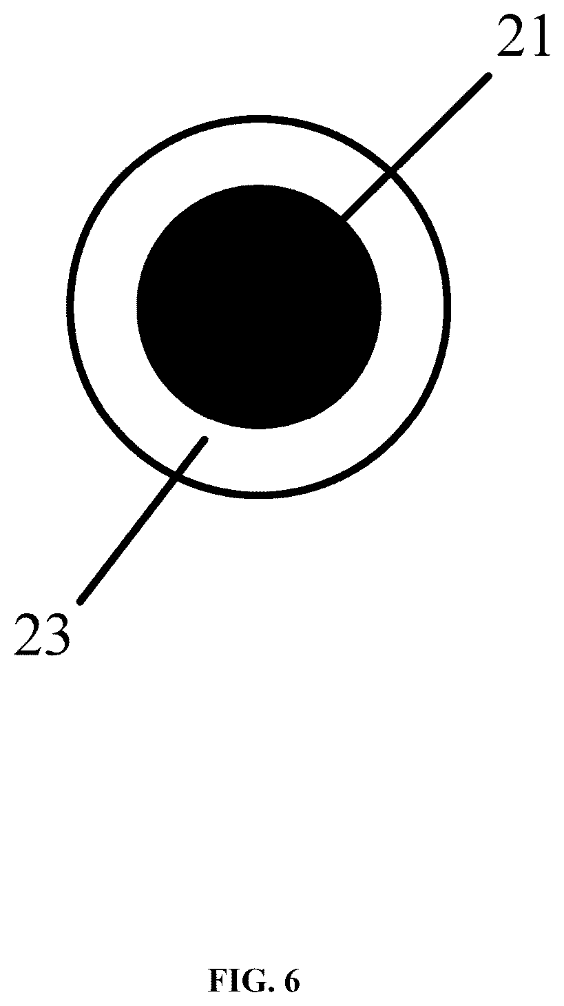 Patent US12460806 Figure 6 – LED string light with branch-trunk structure