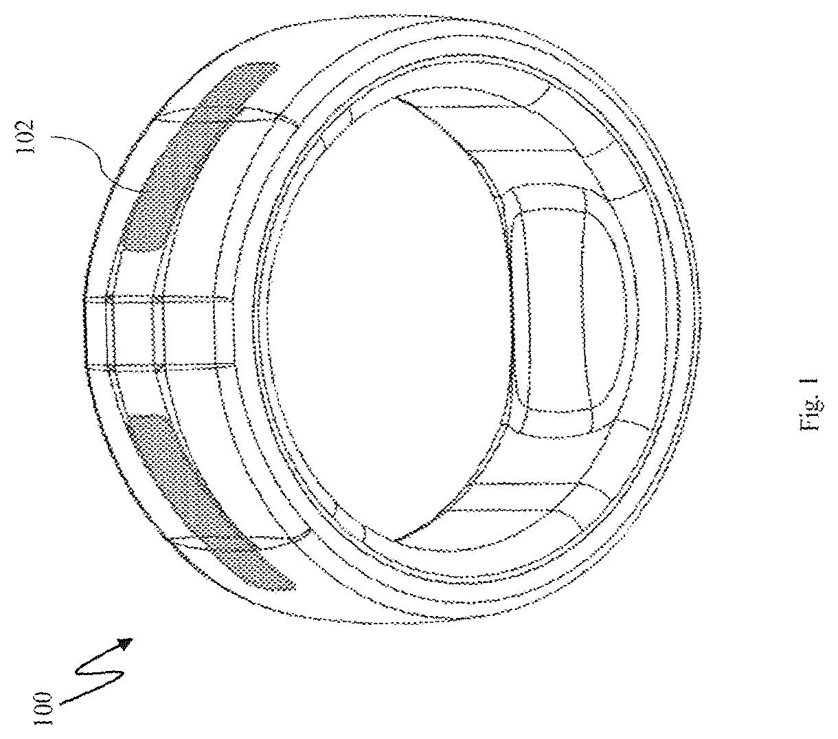 Patent US12460969 Figure 1 – Electronic ring for monitoring vitamin D levels