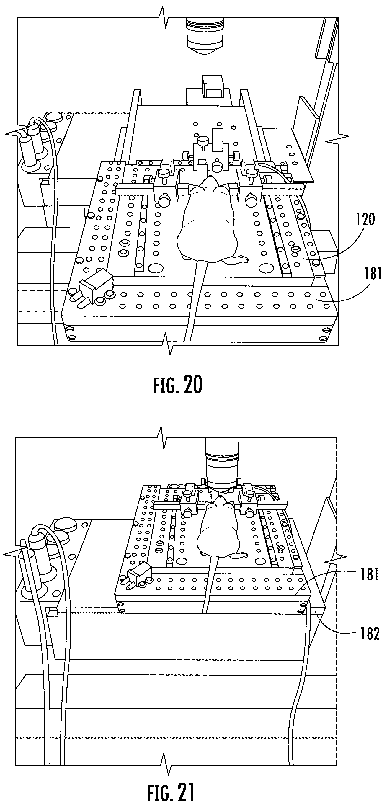 Patent US12468137 Figure 11 – Apparatus for homeothermic manipulation of live animal for microscopic imaging of internal tissue