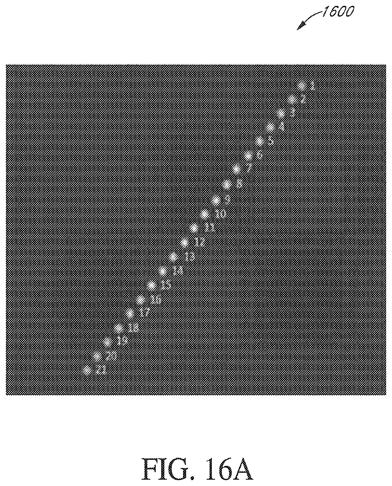 Patent US12468167 Figure 16 – Systems and methods for illuminating and imaging objects