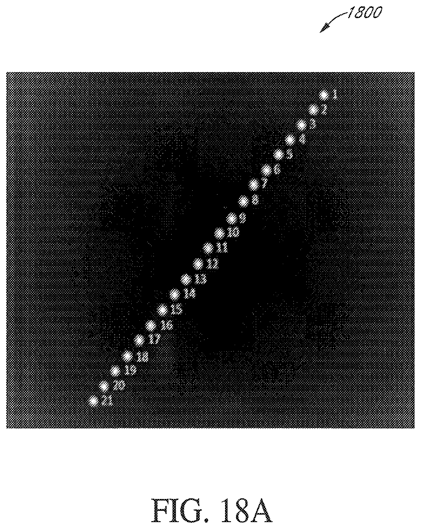 Patent US12468167 Figure 19 – Systems and methods for illuminating and imaging objects