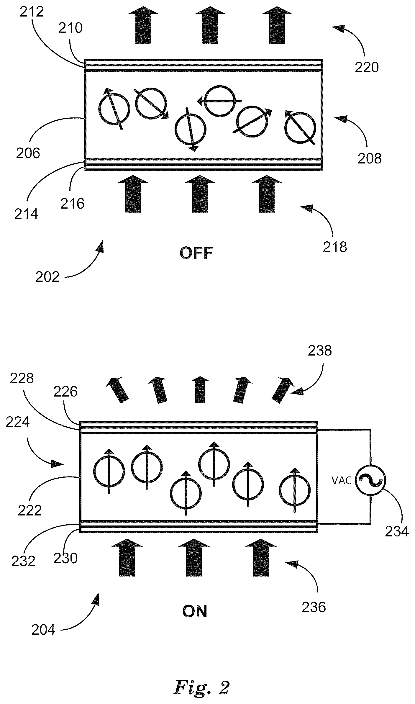 Patent US12468194 Figure 2 – Dual view display