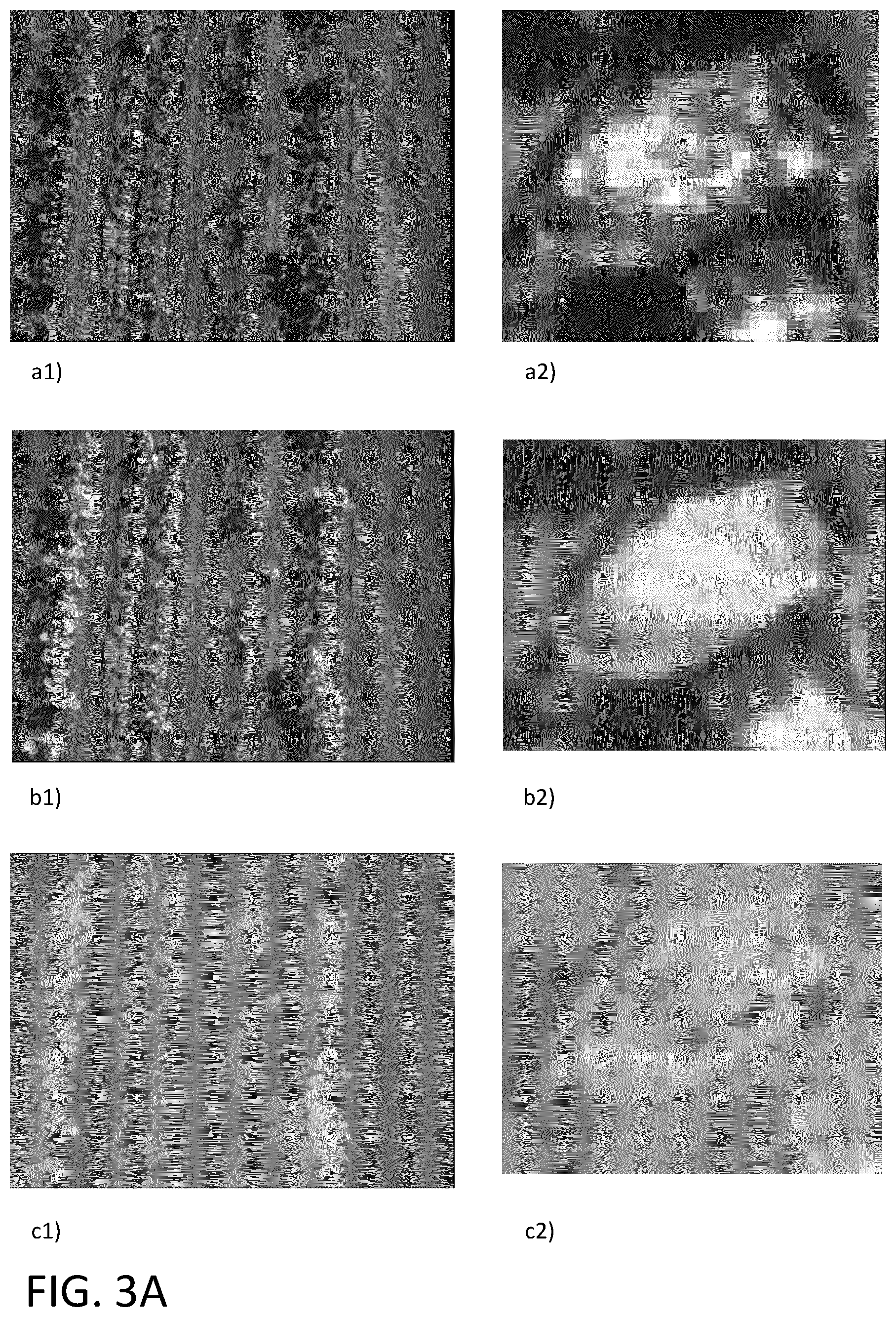 Patent US12468943 Figure 3 – System and method for estimating vegetation coverage in a real-world environment
