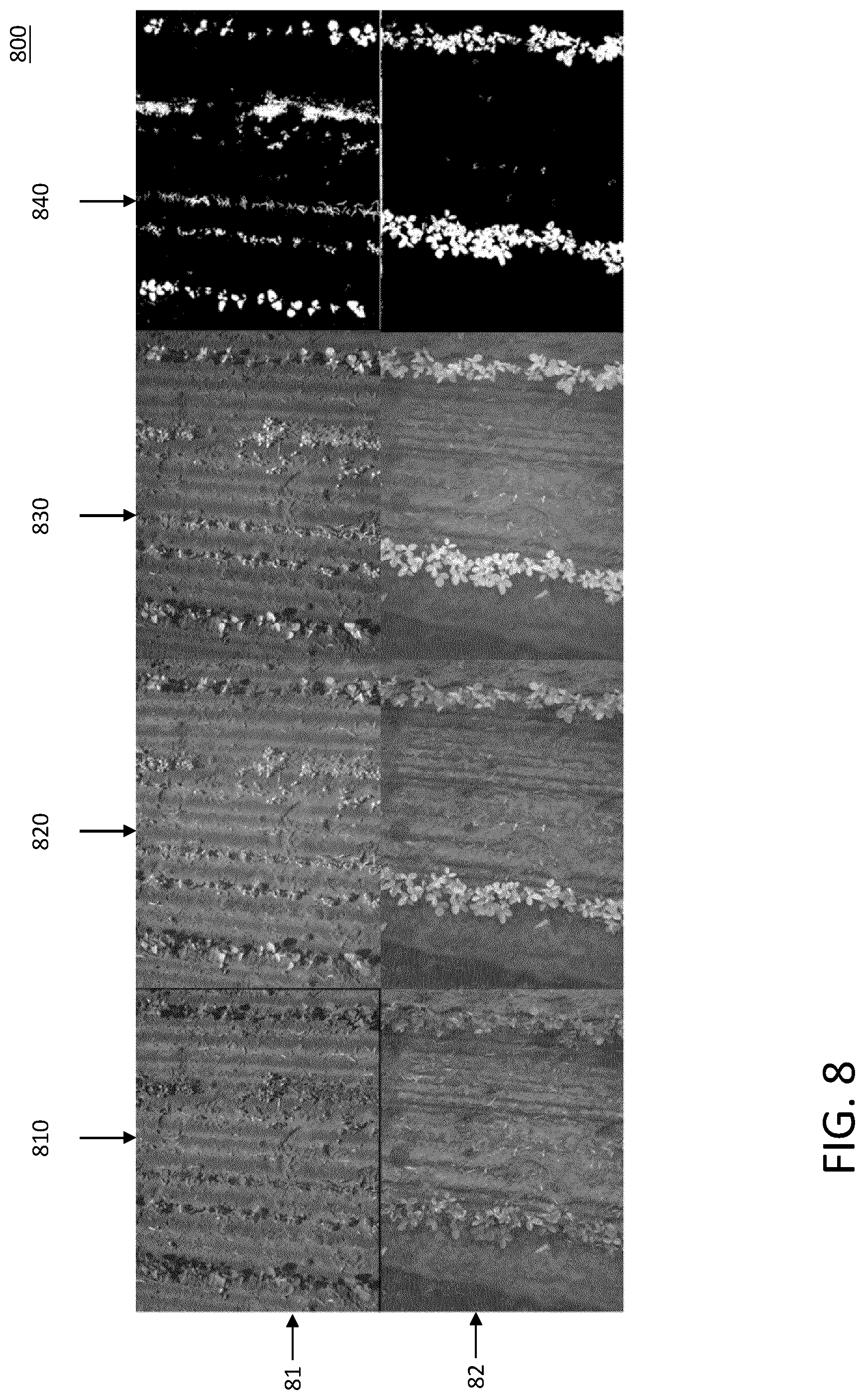 Patent US12468943 Figure 9 – System and method for estimating vegetation coverage in a real-world environment
