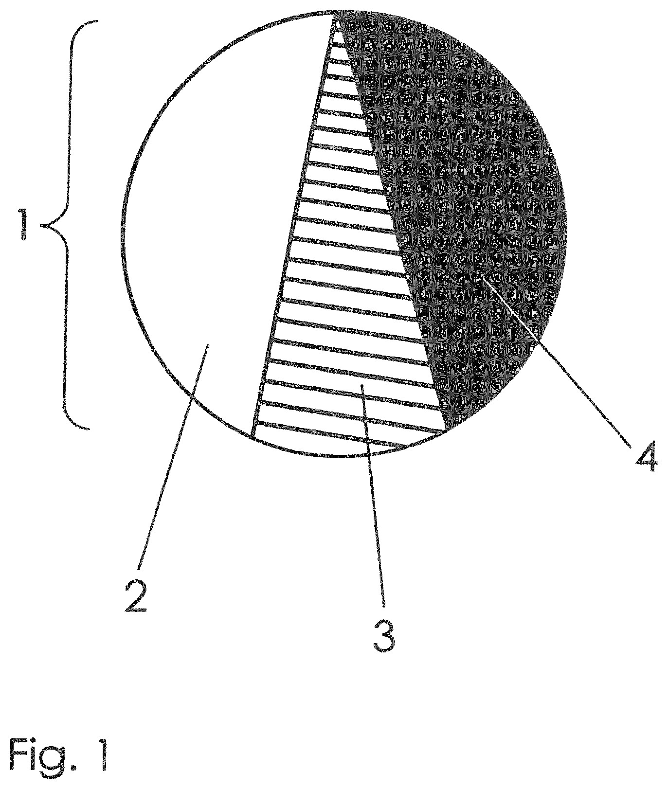 Patent US12472039 — Method and system for the digital acquisition of intraoral structure and color correction based on distance between reference template value and scanned value — Figure 1