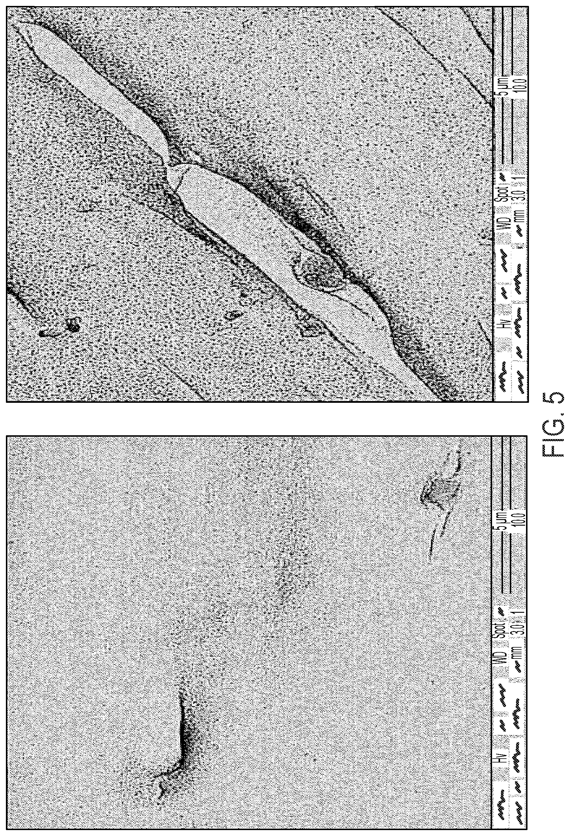 Patent US12472049 Figure 5 – Device capable of having antimicrobial, in particular bacteriostatic or bactericidal, activity