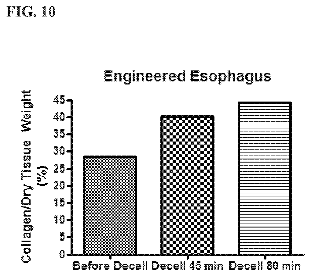 Patent US12472057 Figure 10 – Tubular prostheses