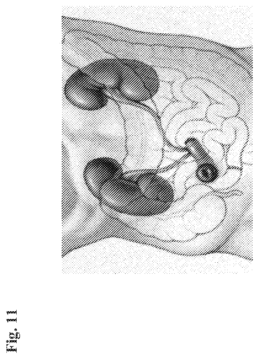 Patent US12472057 Figure 11 – Tubular prostheses
