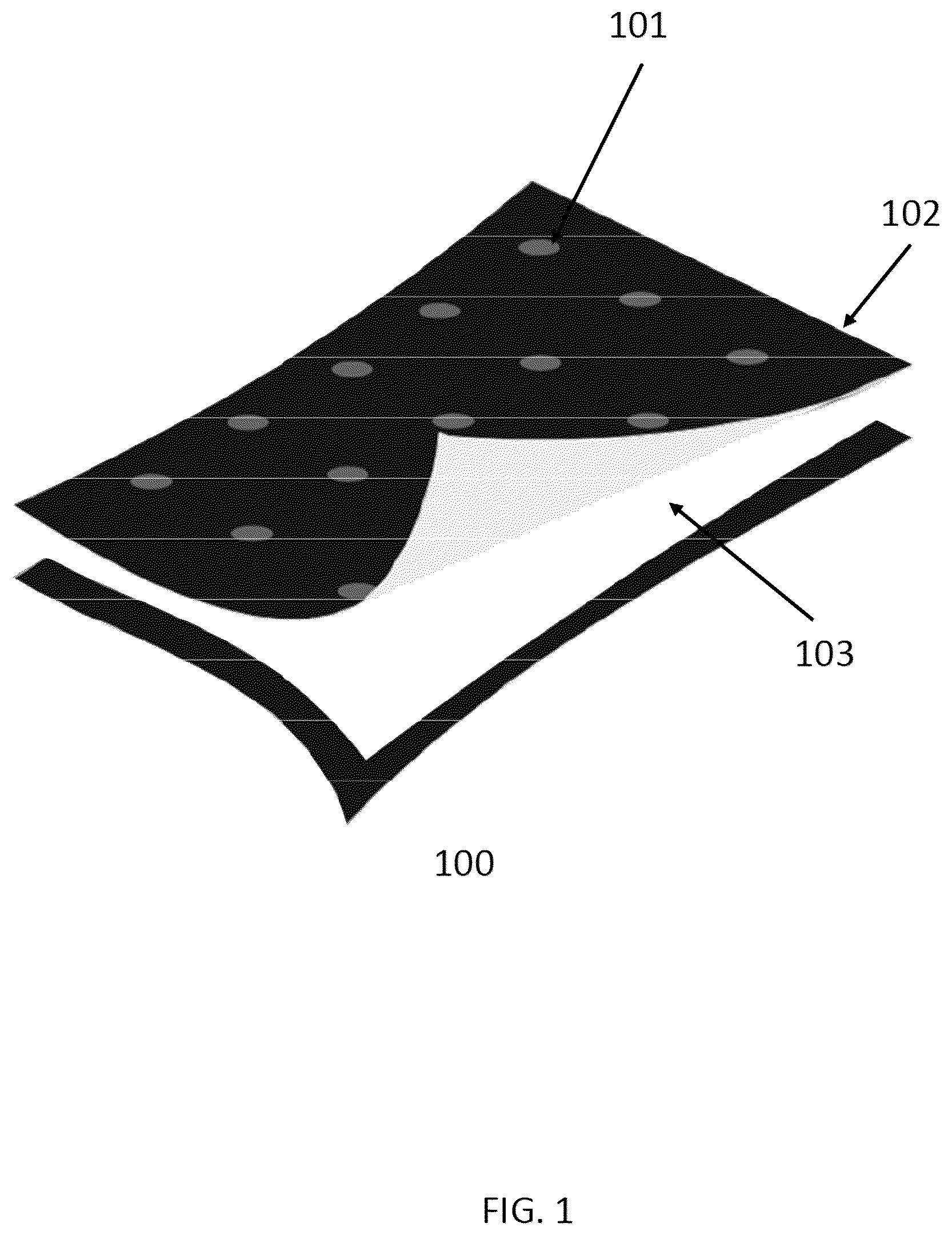 Patent US12472102 Figure 1 – Process for making antiinflammatory, antibacterial, antifungal and viricidal materials