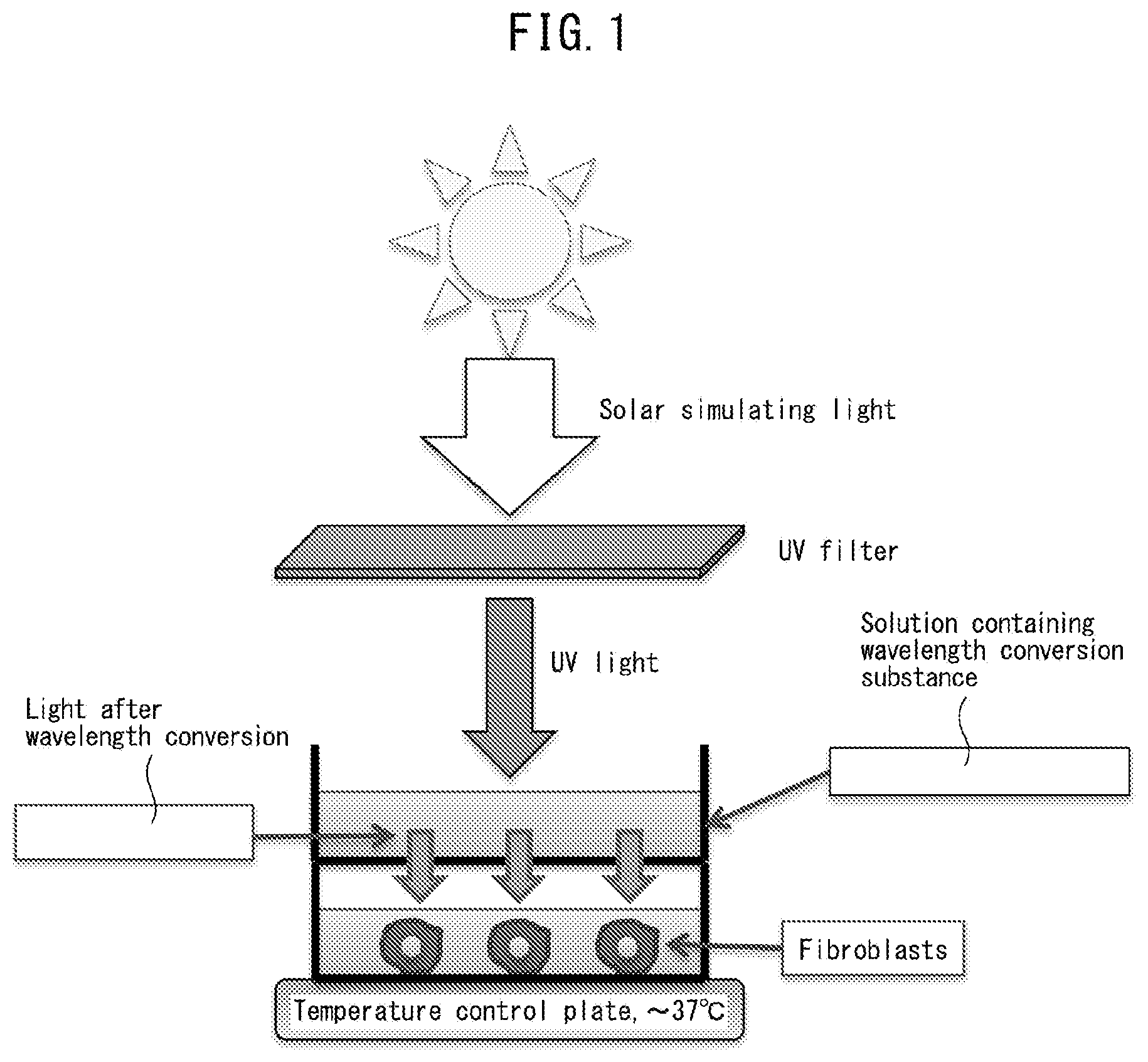 Patent US12472131 Figure 1 – Inflammation-suppressing agent