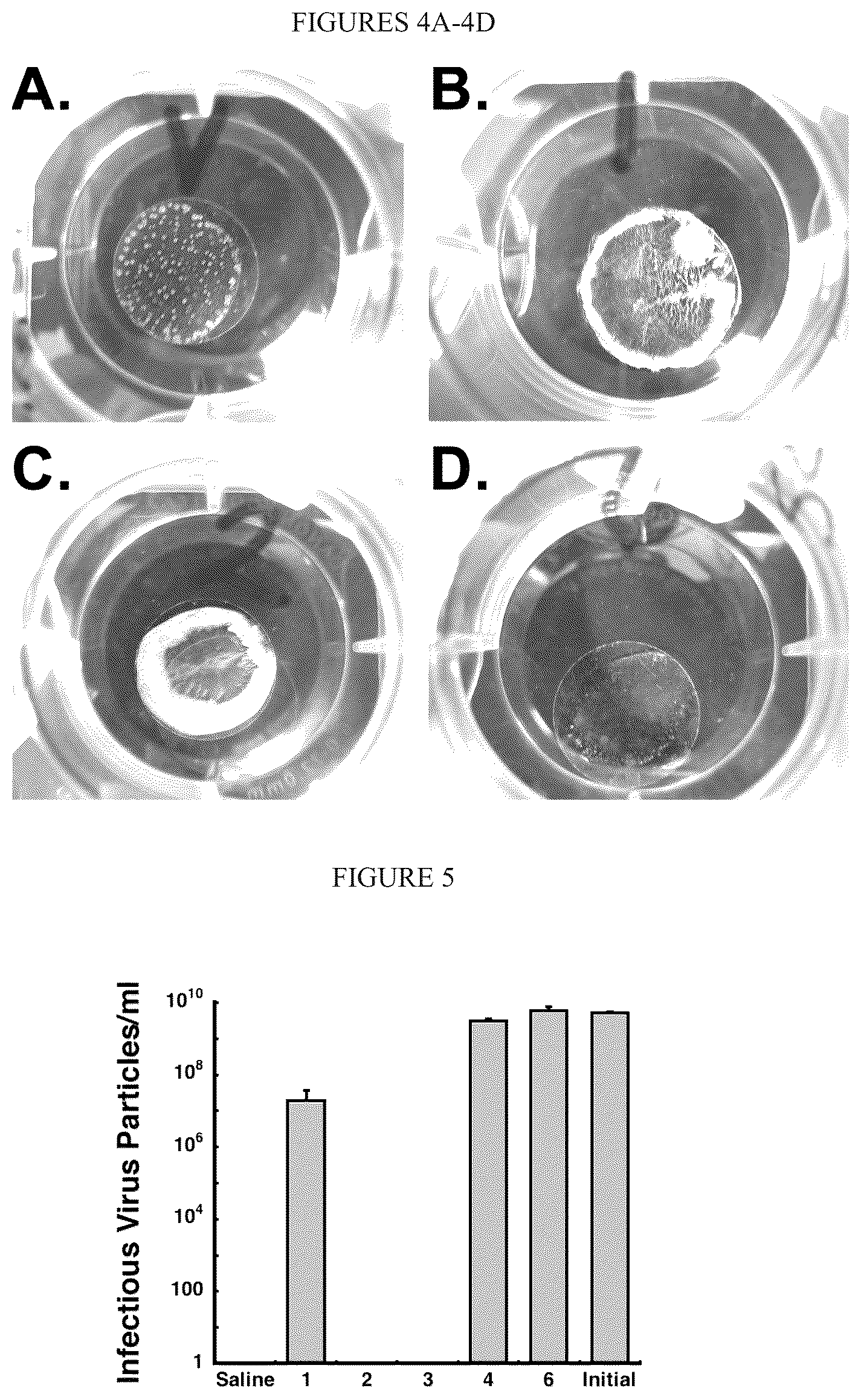 Patent US12472145 Figure 2 – Methods for inducing an immune response via buccal and/or sublingual administration of a vaccine