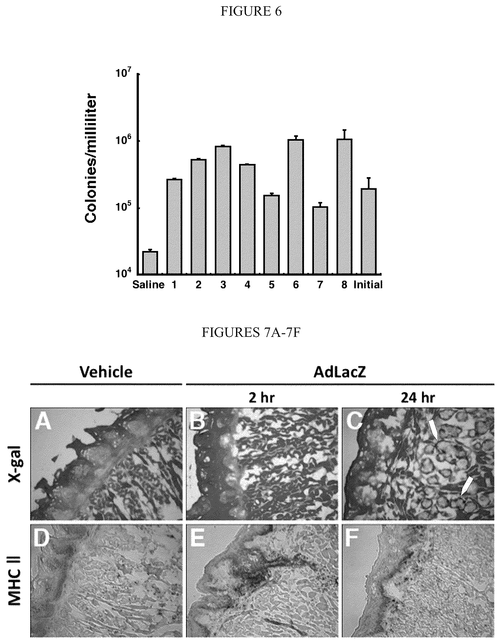 Patent US12472145 Figure 3 – Methods for inducing an immune response via buccal and/or sublingual administration of a vaccine
