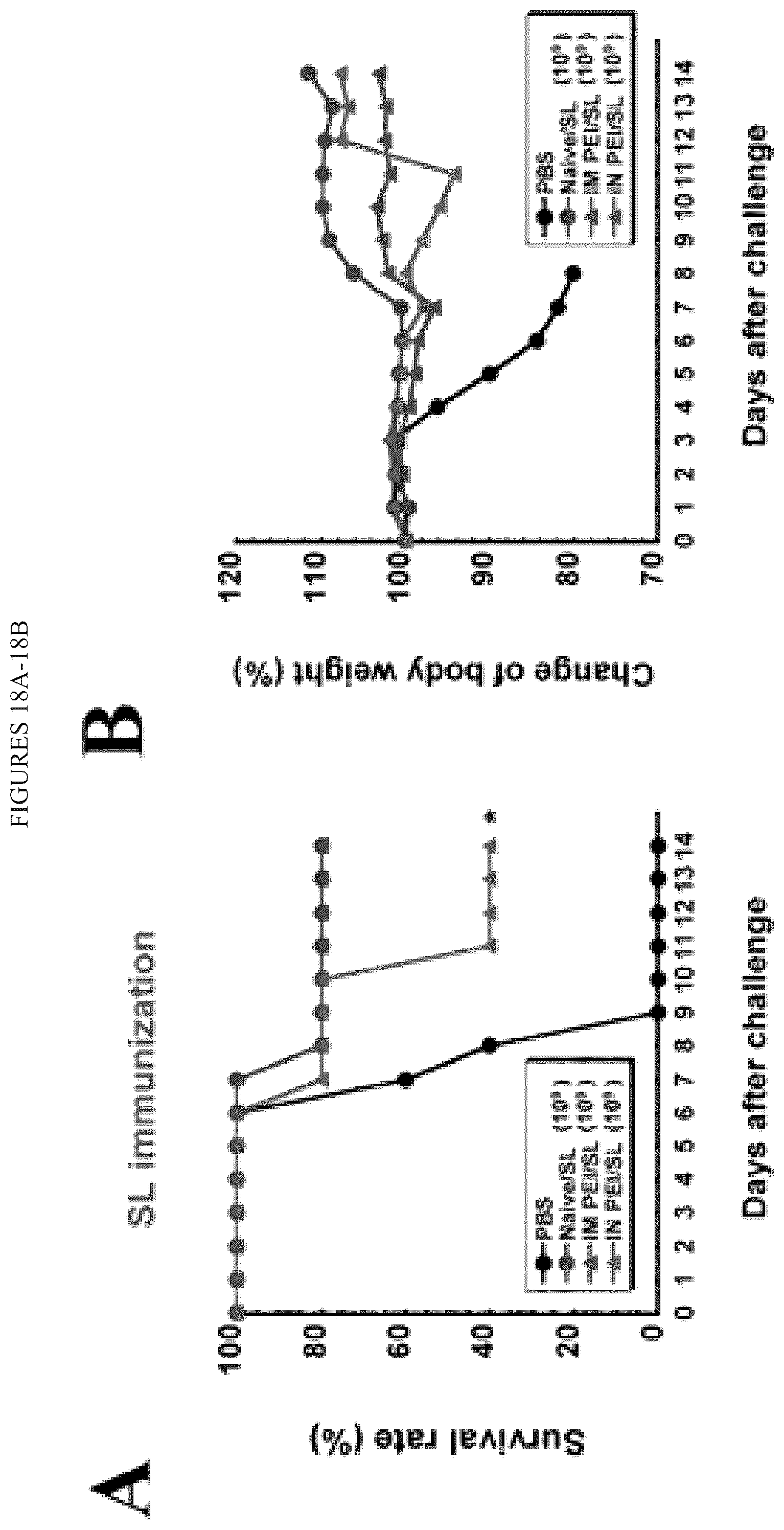 Patent US12472145 Figure 16 – Methods for inducing an immune response via buccal and/or sublingual administration of a vaccine