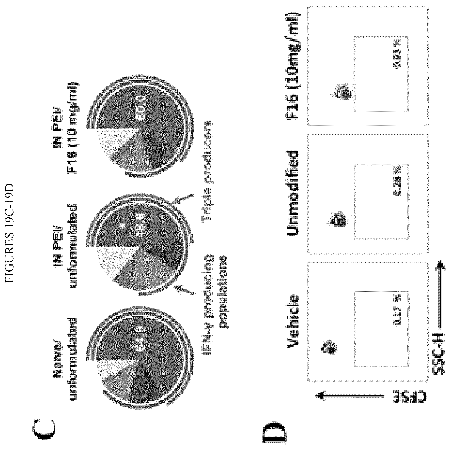 Patent US12472145 Figure 19 – Methods for inducing an immune response via buccal and/or sublingual administration of a vaccine
