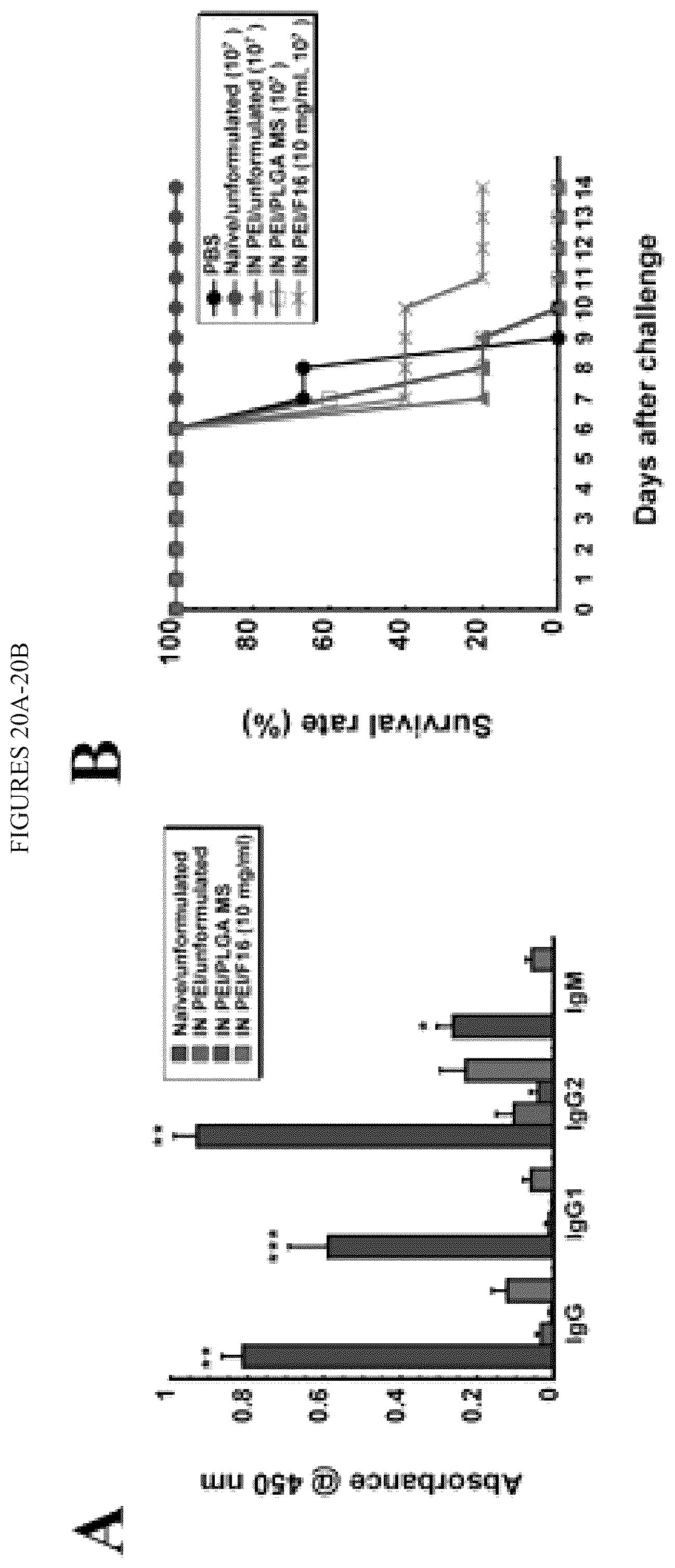 Patent US12472145 Figure 20 – Methods for inducing an immune response via buccal and/or sublingual administration of a vaccine