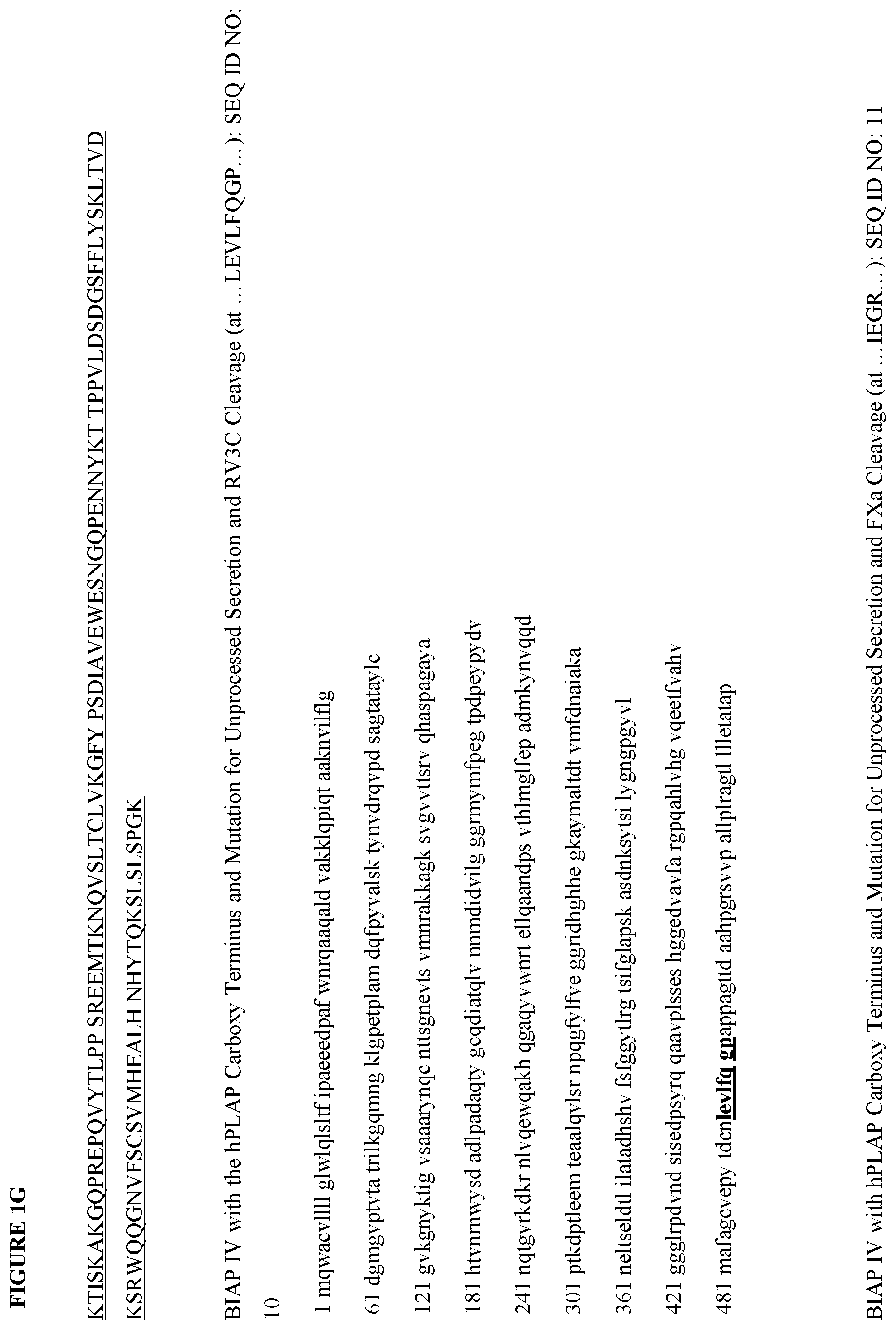 Patent US12472147 Figure 7 – Intestinal alkaline phosphatase formulations