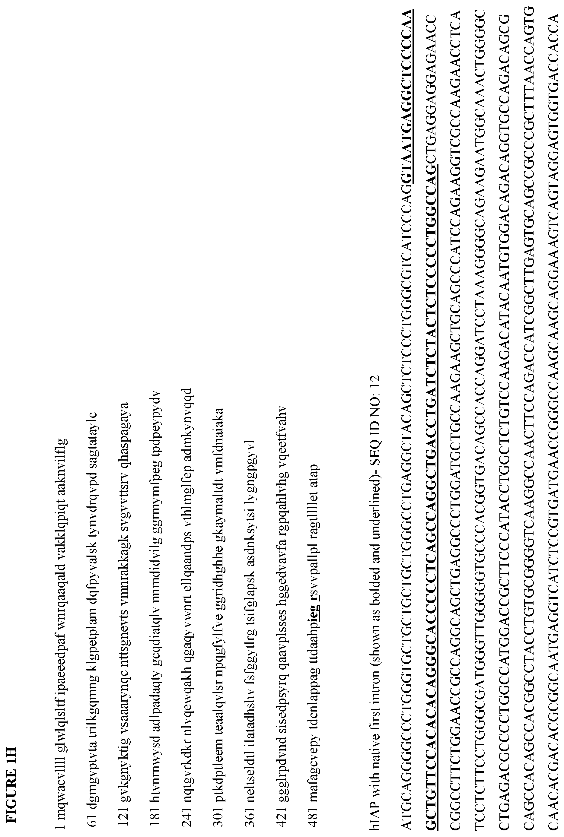 Patent US12472147 Figure 8 – Intestinal alkaline phosphatase formulations