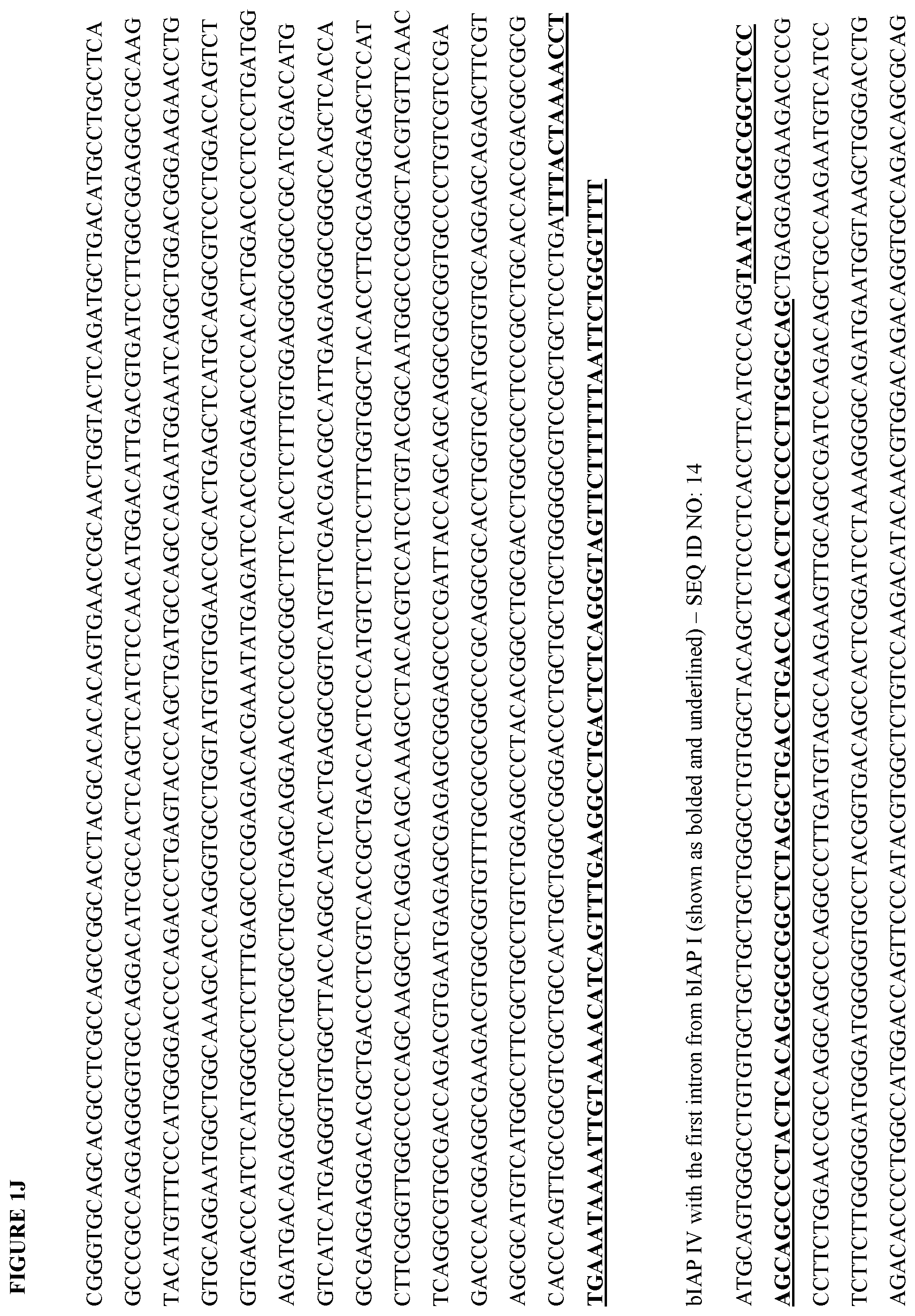 Patent US12472147 Figure 10 – Intestinal alkaline phosphatase formulations