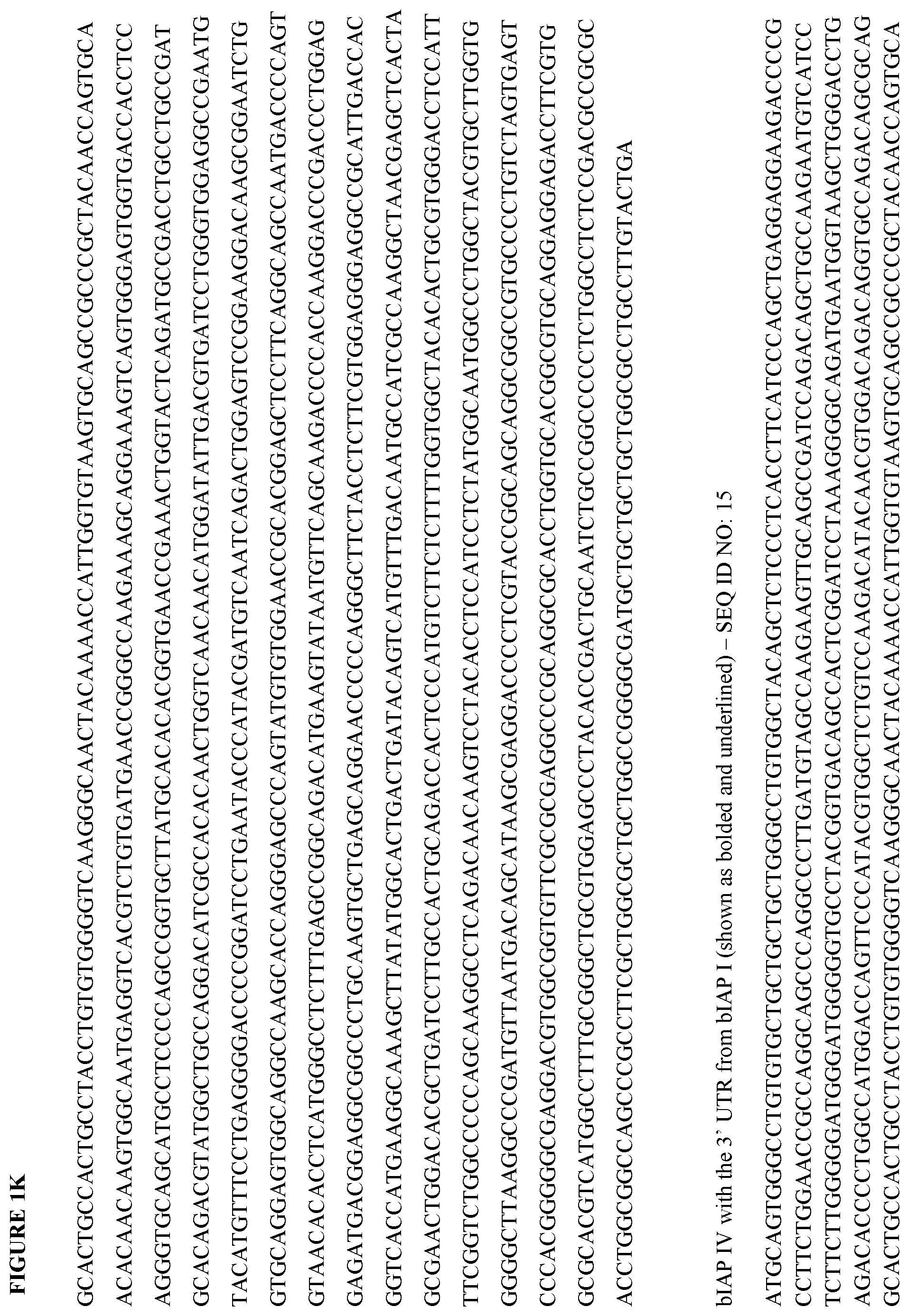 Patent US12472147 Figure 11 – Intestinal alkaline phosphatase formulations