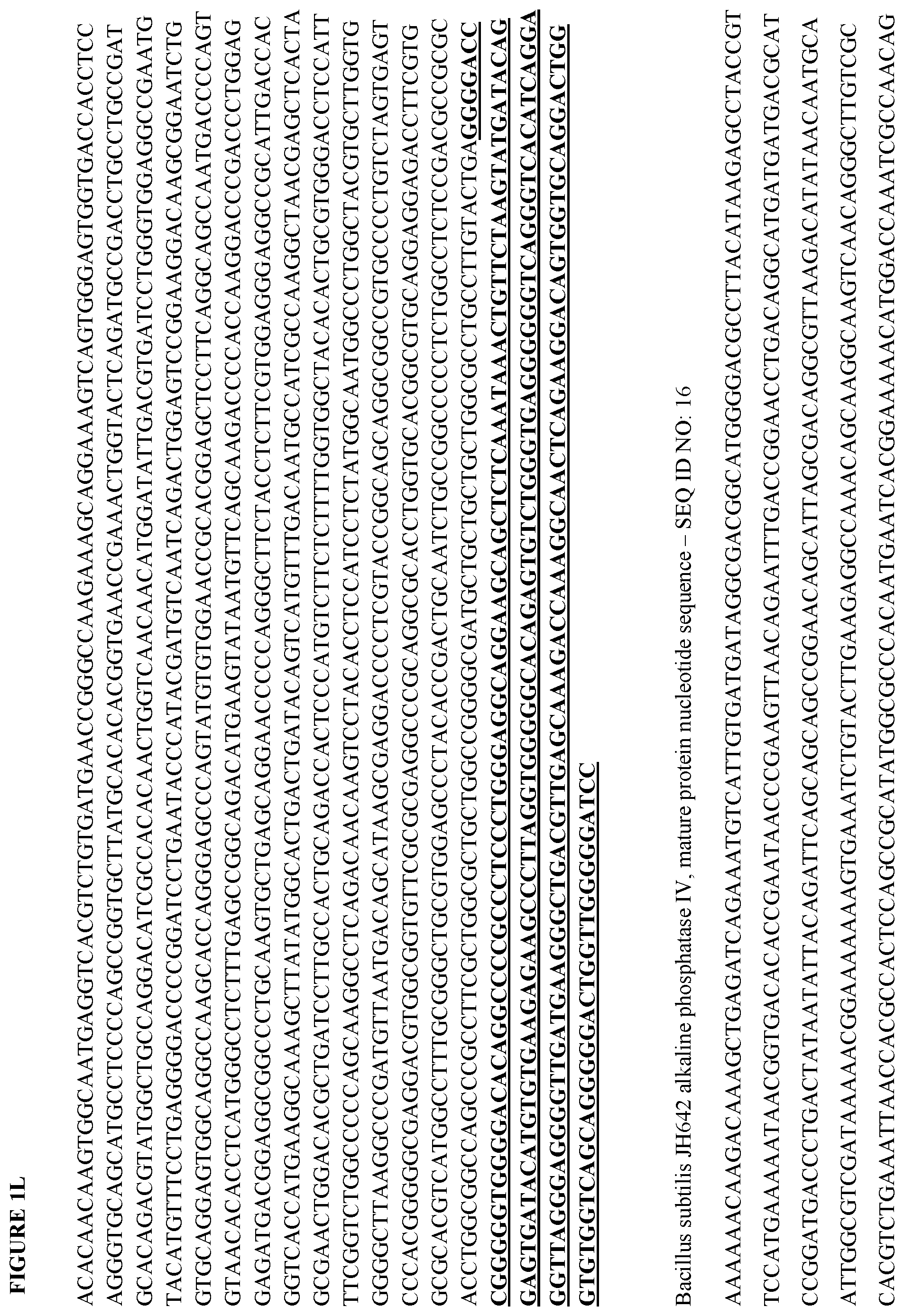 Patent US12472147 Figure 12 – Intestinal alkaline phosphatase formulations