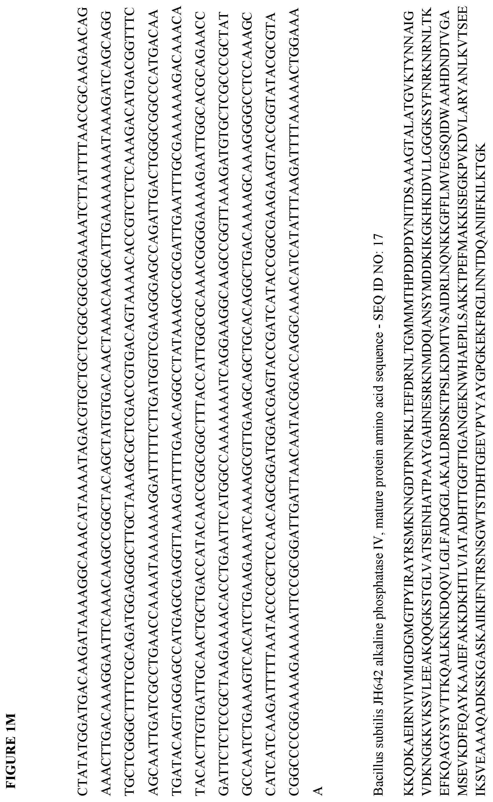 Patent US12472147 Figure 13 – Intestinal alkaline phosphatase formulations