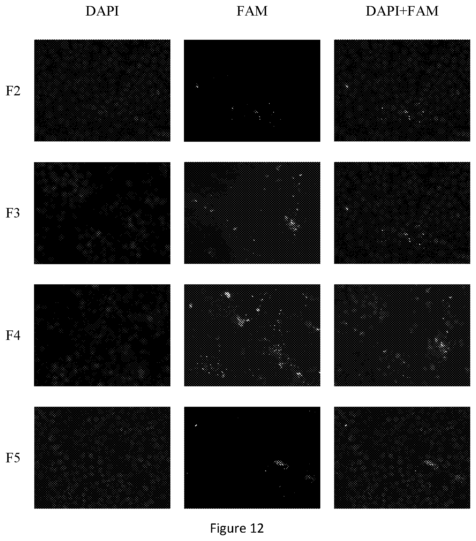 Patent US12472150 Figure 12 – Delivery system comprising silicon-containing material