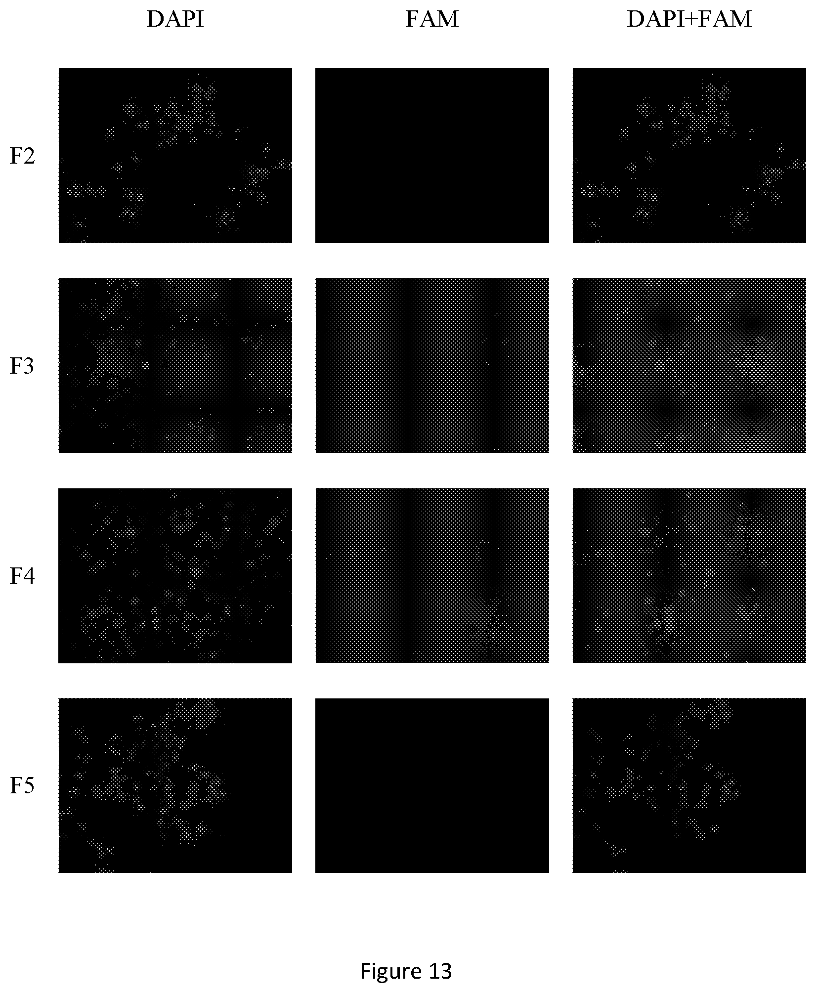 Patent US12472150 Figure 13 – Delivery system comprising silicon-containing material
