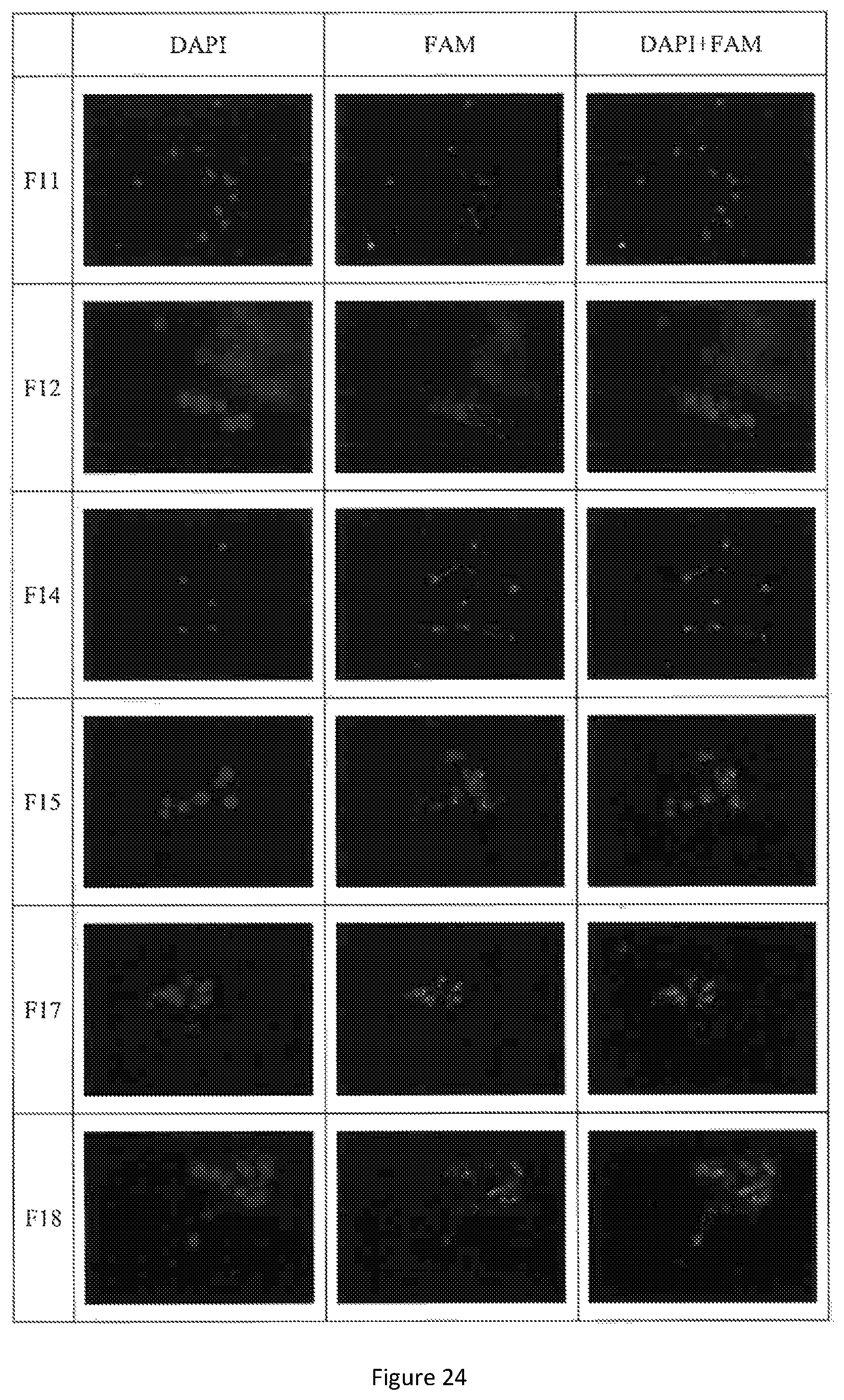 Patent US12472150 Figure 19 – Delivery system comprising silicon-containing material