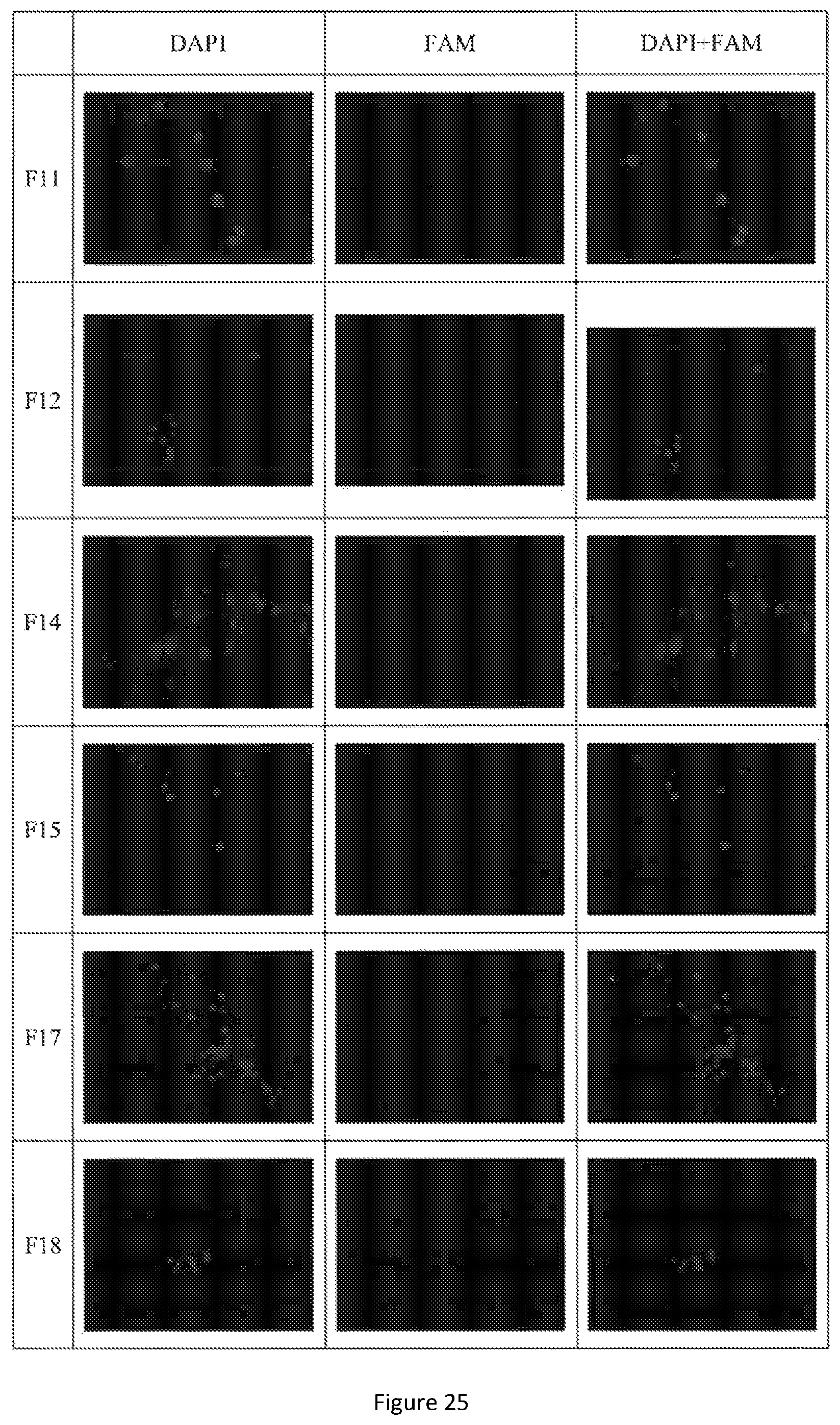 Patent US12472150 Figure 20 – Delivery system comprising silicon-containing material