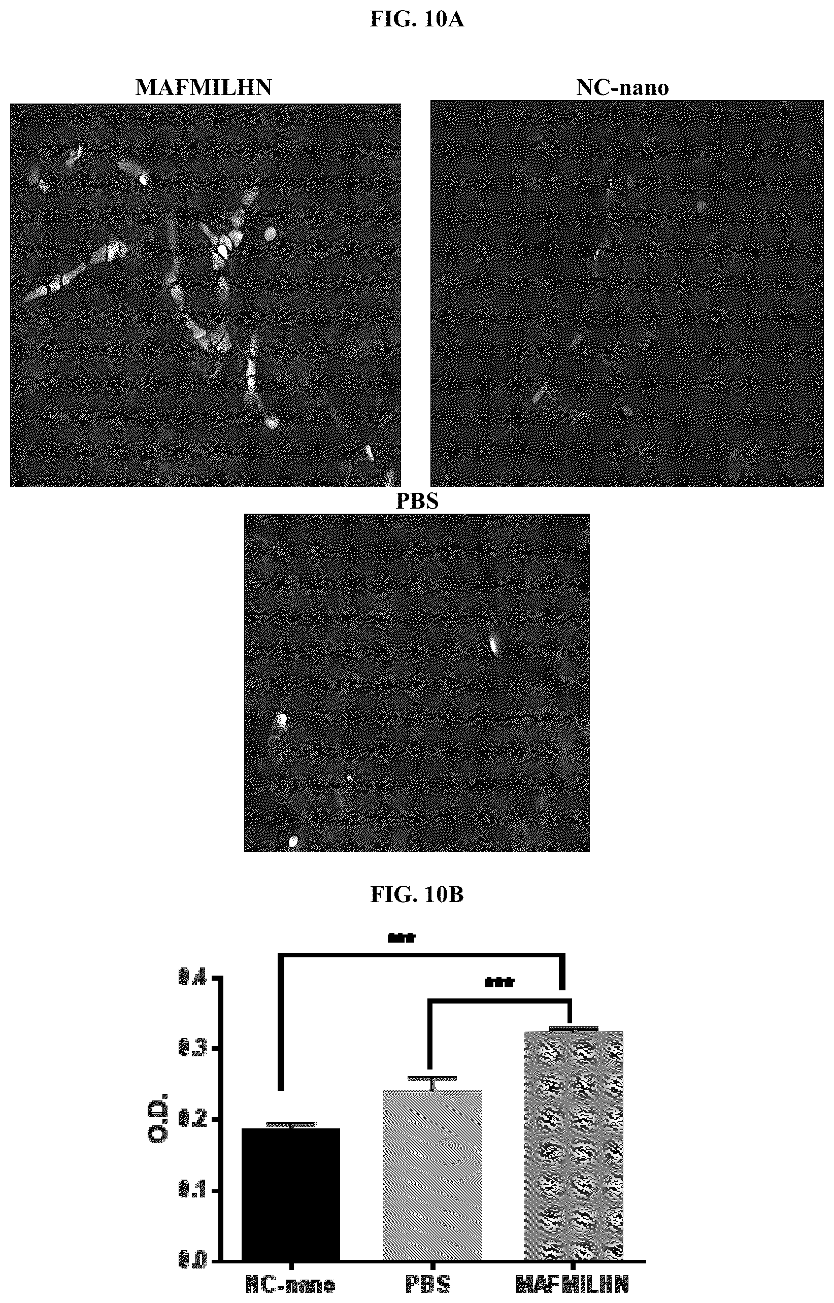Patent US12472151 Figure 11 – Delivery compositions, and methods of making and using same