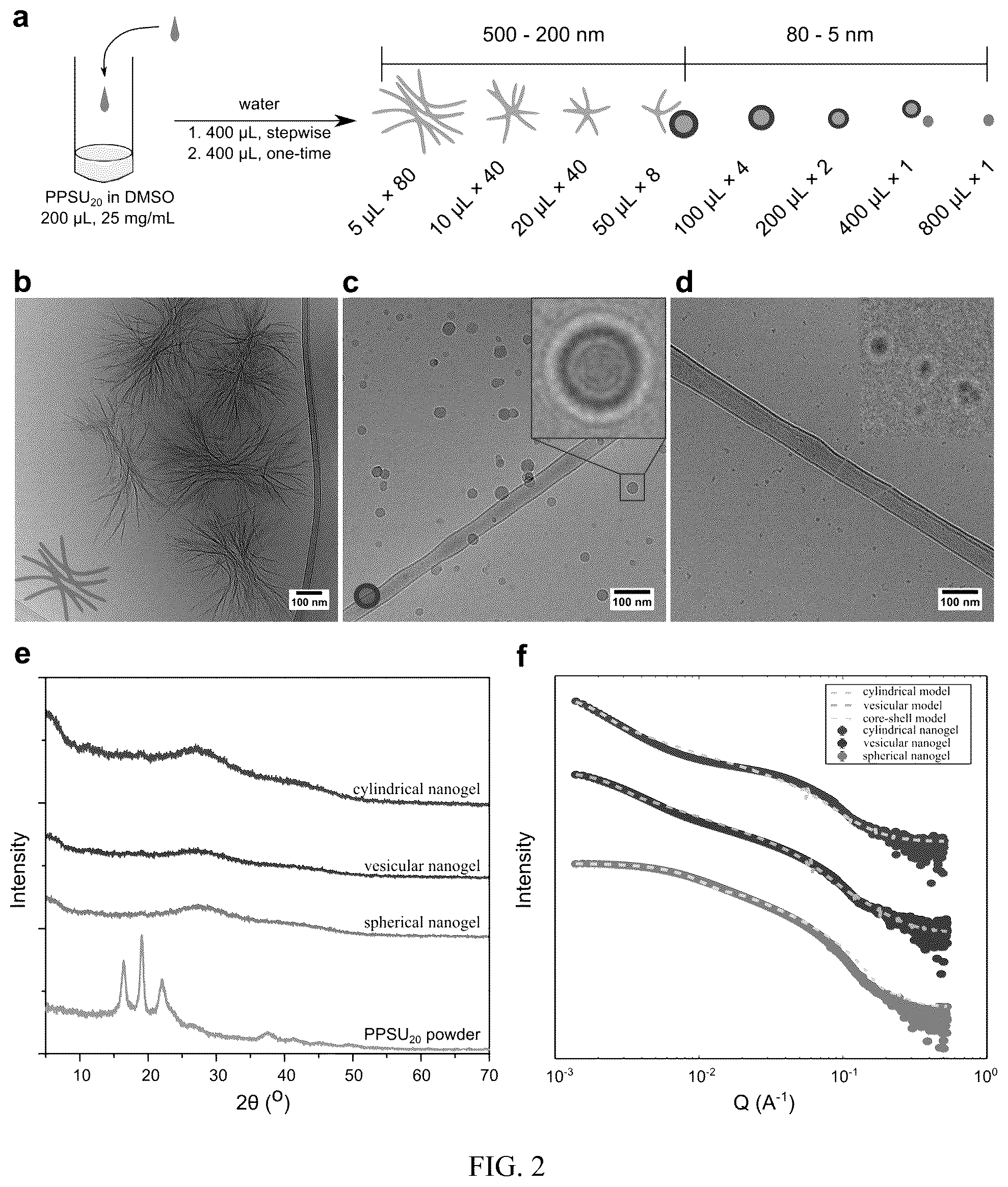 Patent US12472152 Figure 2 – Molecular entrapment via homopolymer self-assembly