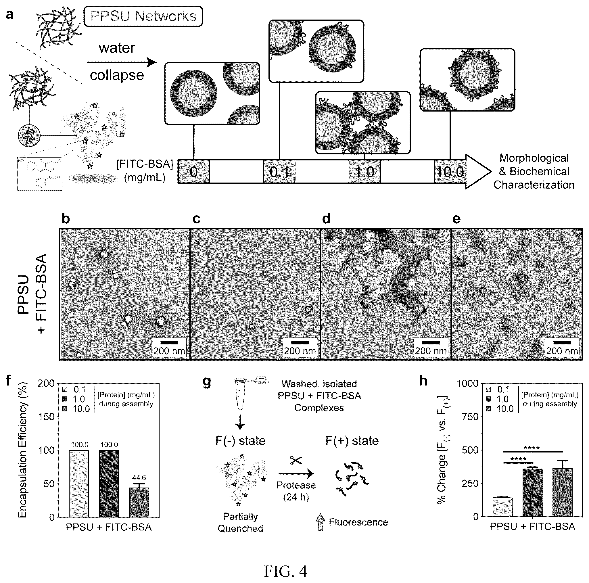 Patent US12472152 Figure 4 – Molecular entrapment via homopolymer self-assembly