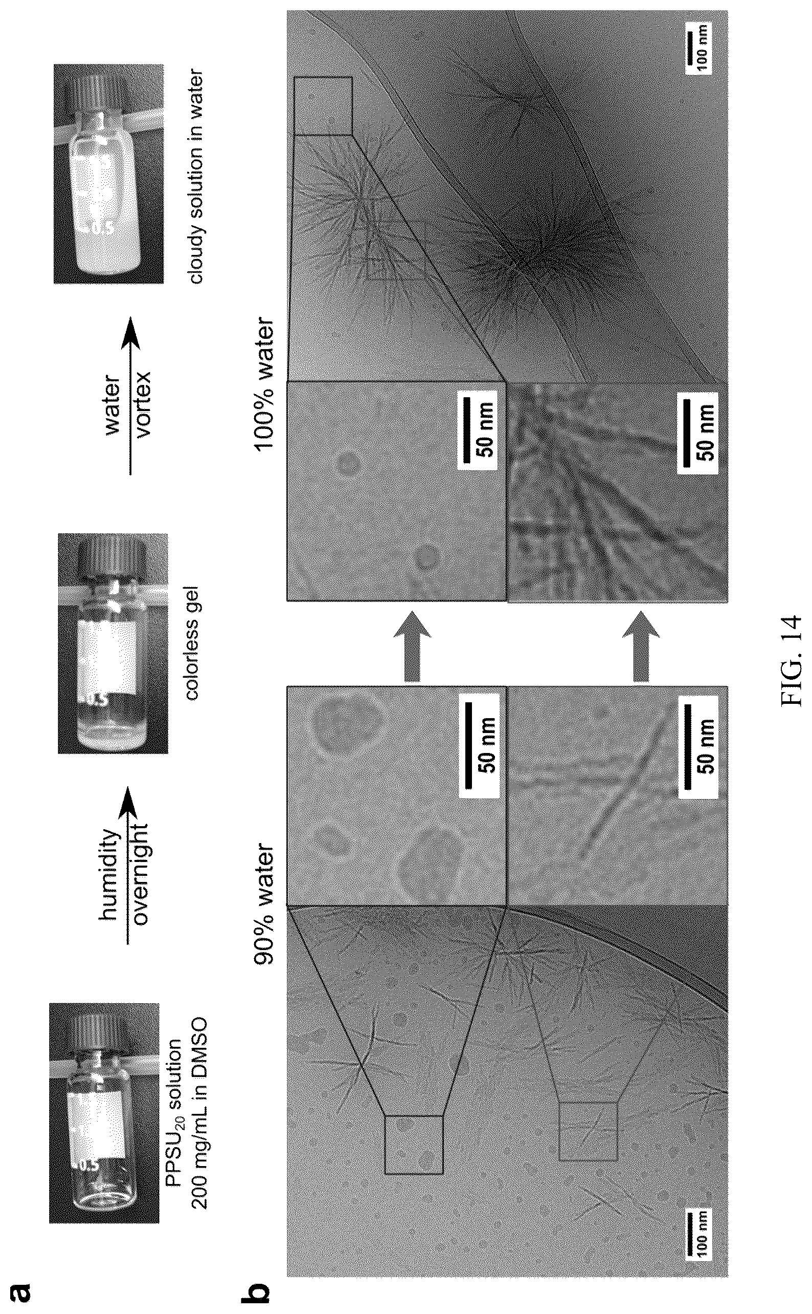 Patent US12472152 Figure 14 – Molecular entrapment via homopolymer self-assembly