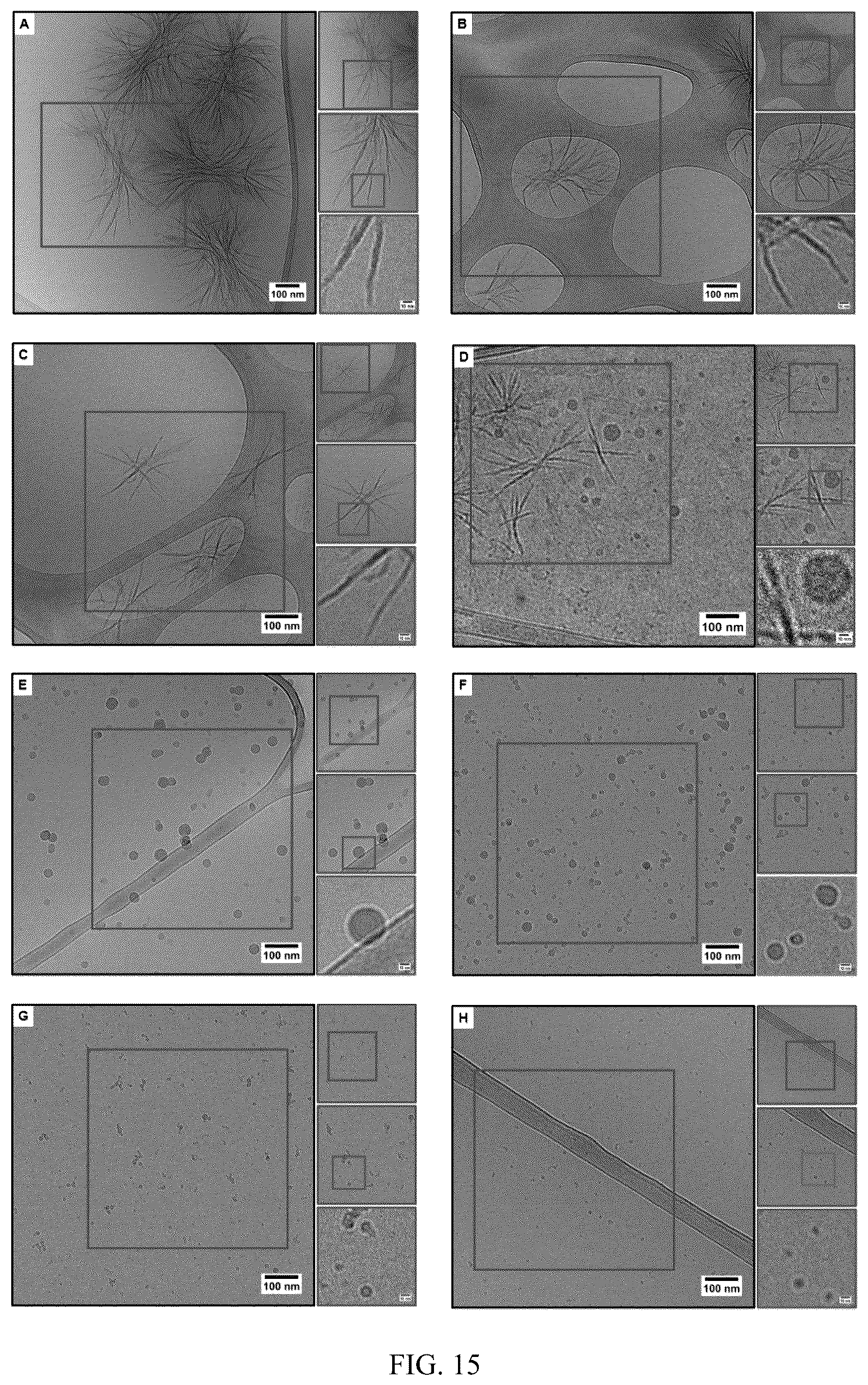 Patent US12472152 Figure 15 – Molecular entrapment via homopolymer self-assembly