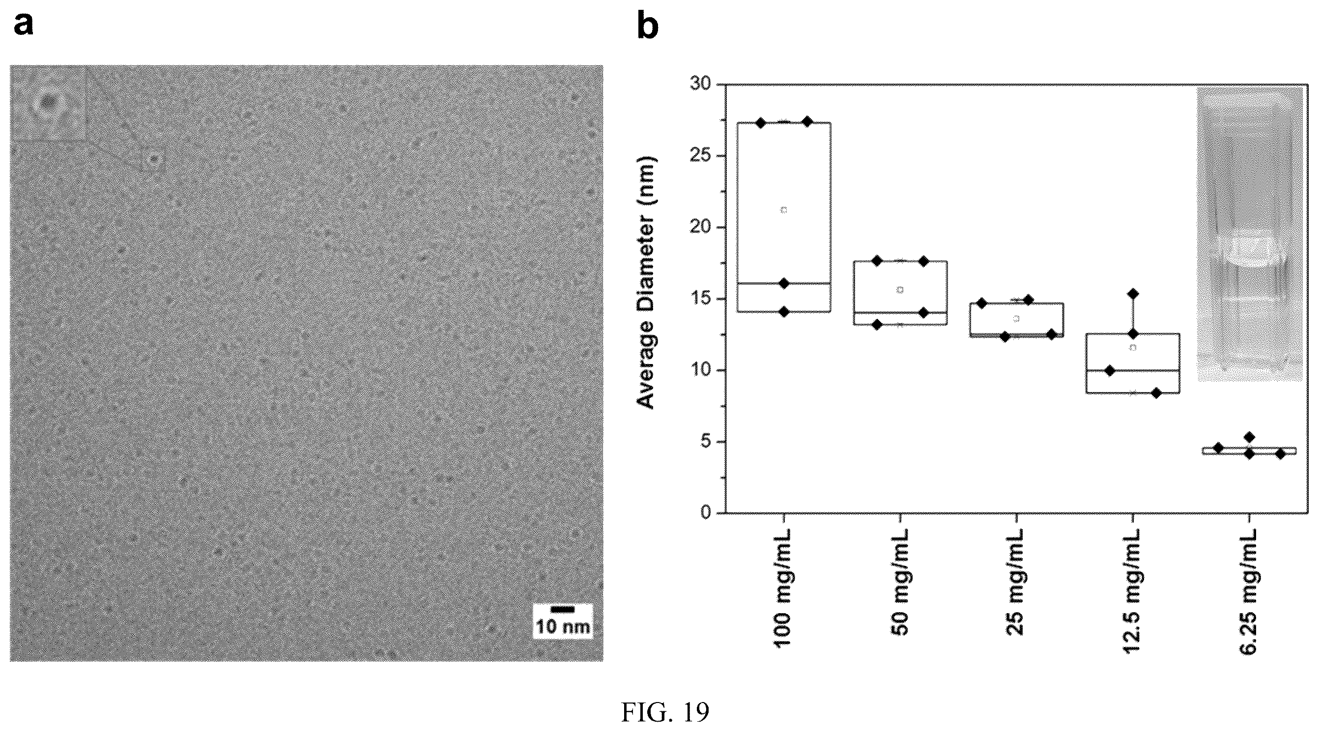 Patent US12472152 Figure 19 – Molecular entrapment via homopolymer self-assembly